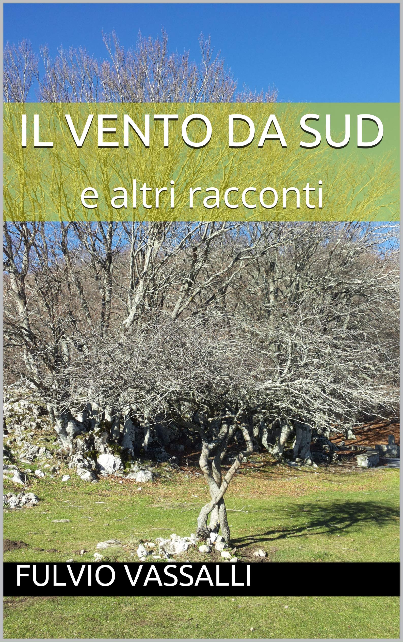 Il Vento da Sud by Fulvio Vassalli Goodreads Il Vento da Sud by Fulvio Vassalli Goodreads