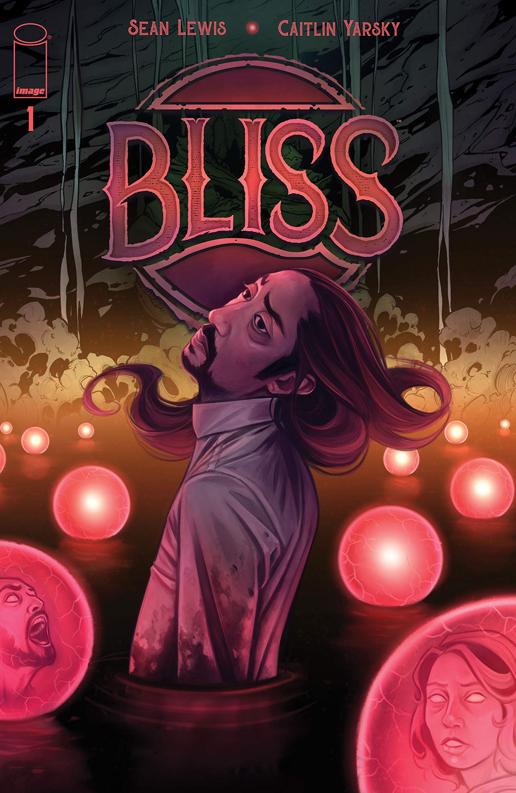 Bliss book cover 1