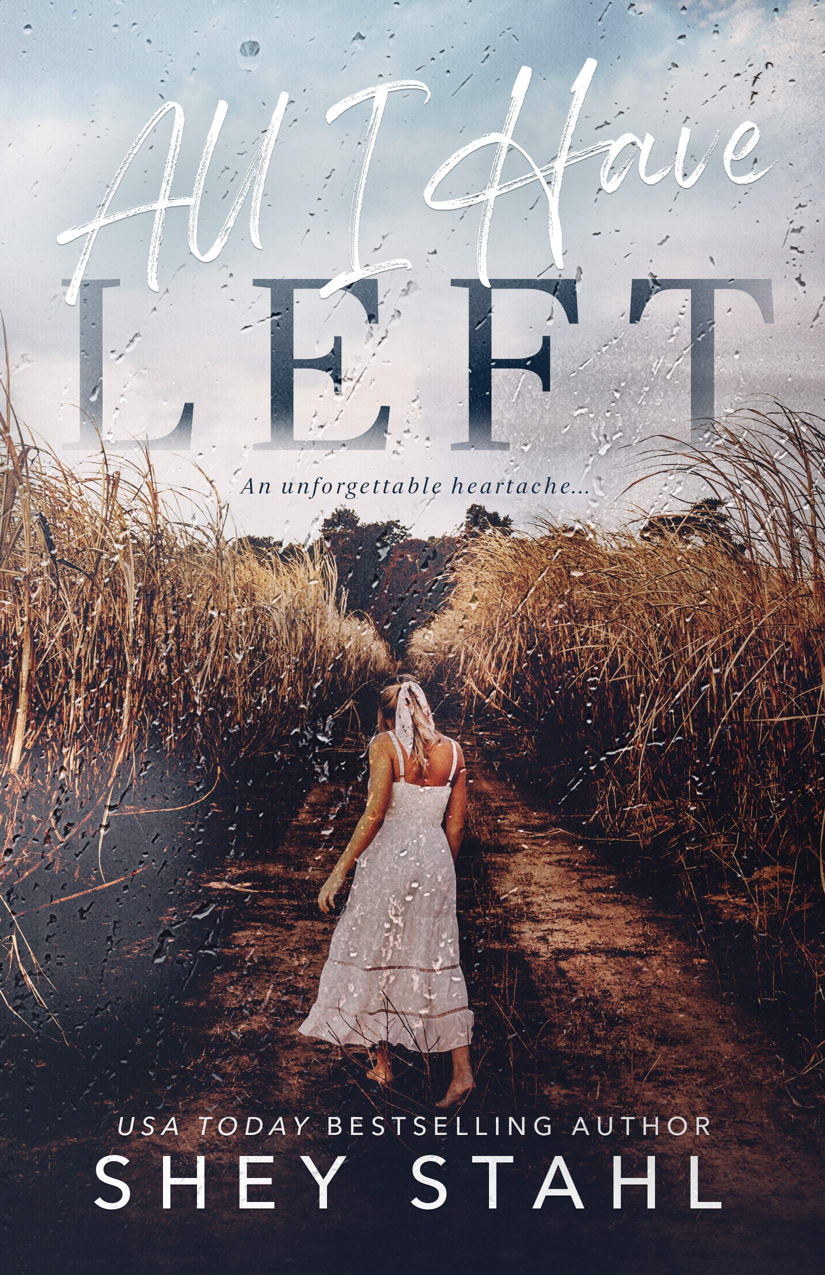All I Have Left book cover