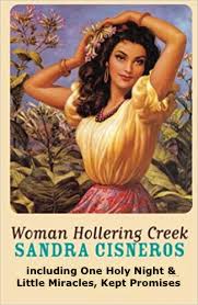 One Holy Night book cover