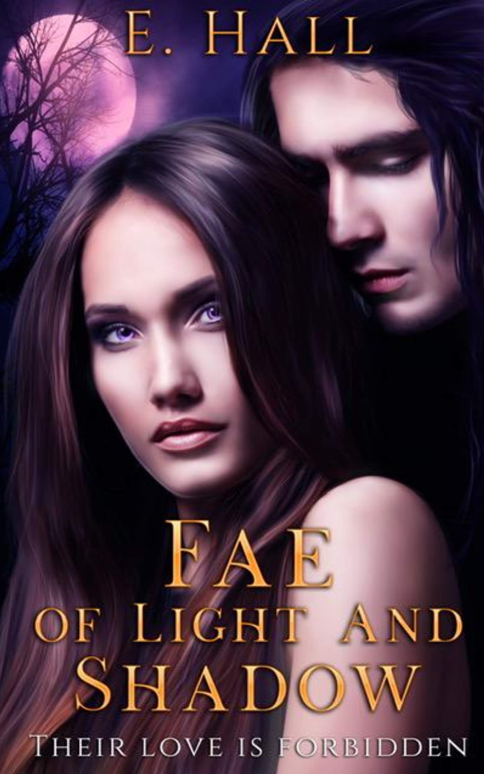 Fae of Light and Shadow