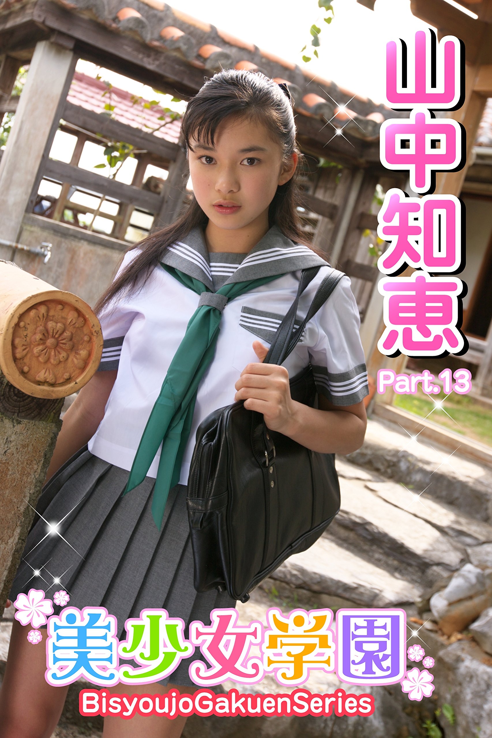 山中知恵 レビュー _ 山中知恵 現在 | 楽天ブックス: 花鳥 …