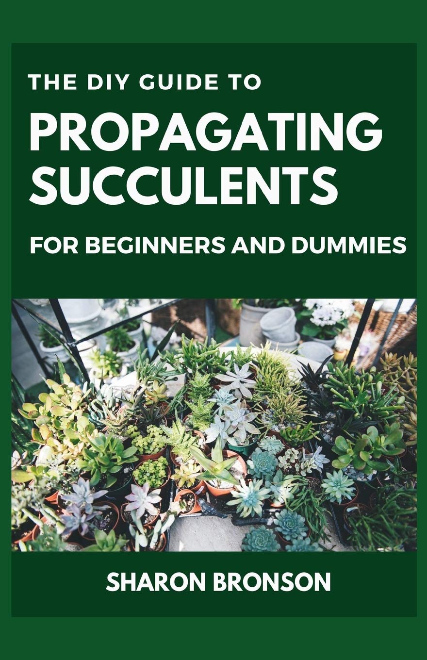 The DIY Guide To Propagating Succulents For Beginners and Dummies: Step ...