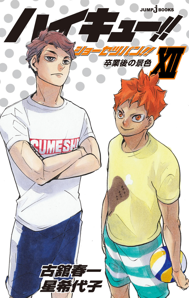 ハイキュー!! ショーセツバン!! XII [Haikyū!! Shōsetsuban!! 12] book cover