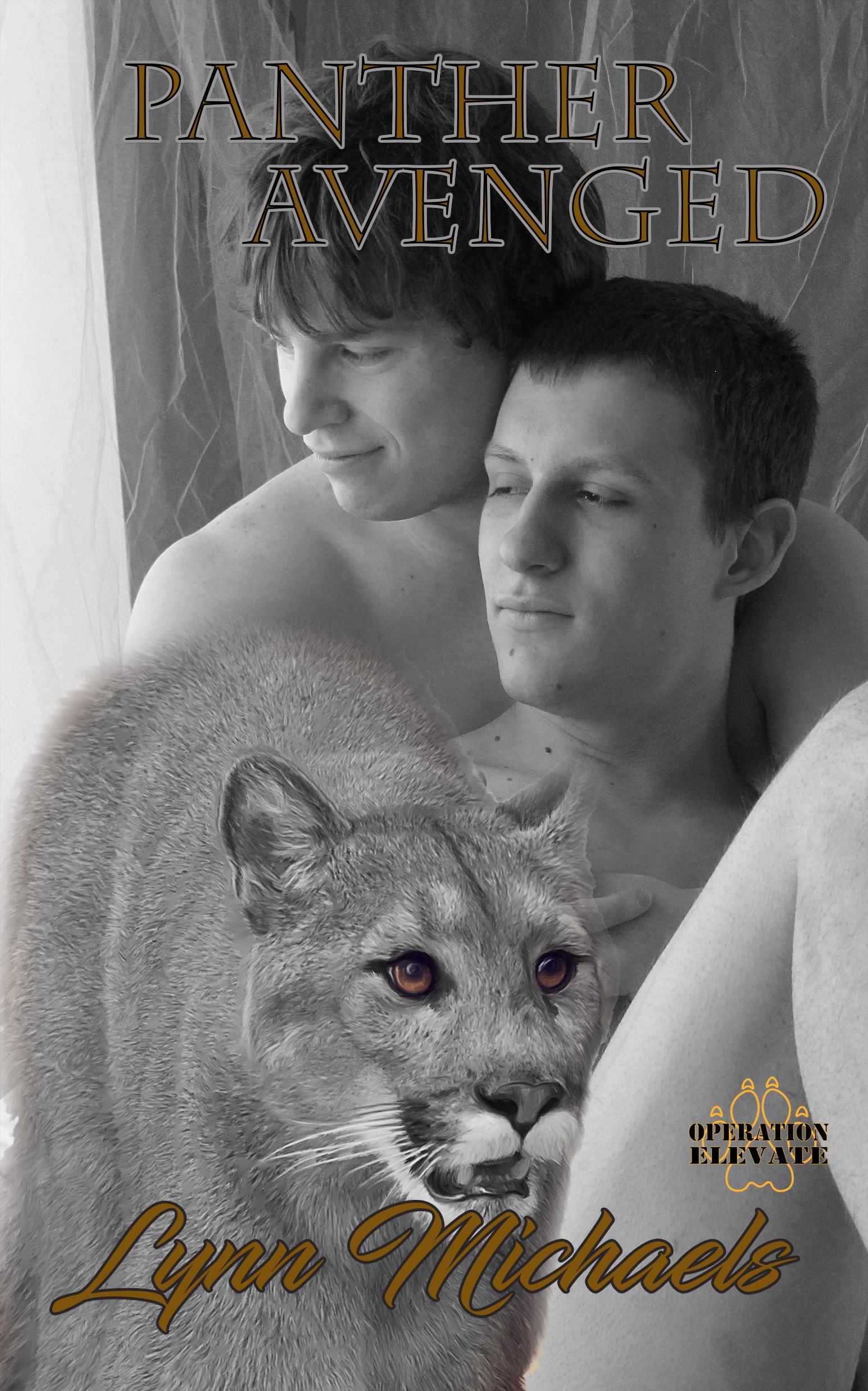 Panther Avenged book cover