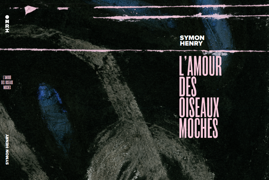L'amour des oiseaux moches book cover