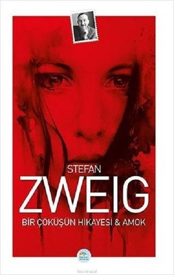 Bir Çöküşün Hikayesi & Amok book cover