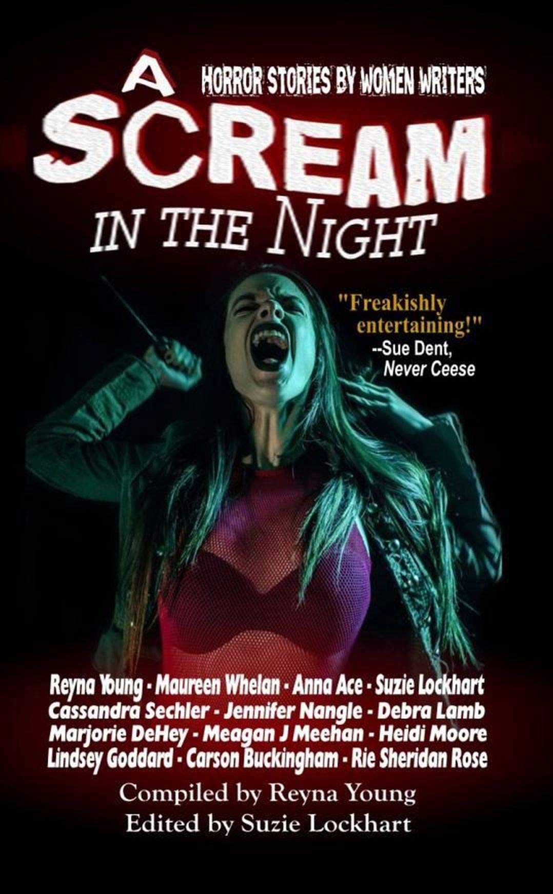 A Scream in the Night book cover