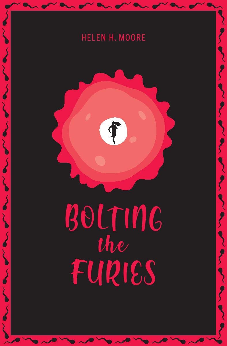 Bolting the Furies book cover