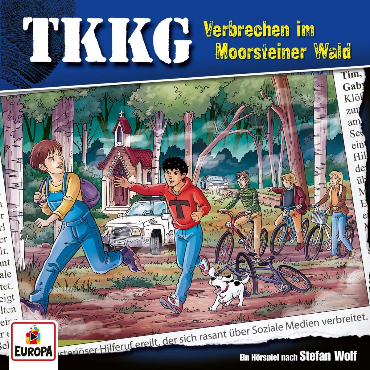 Verbrechen im Moorsteiner Wald book cover