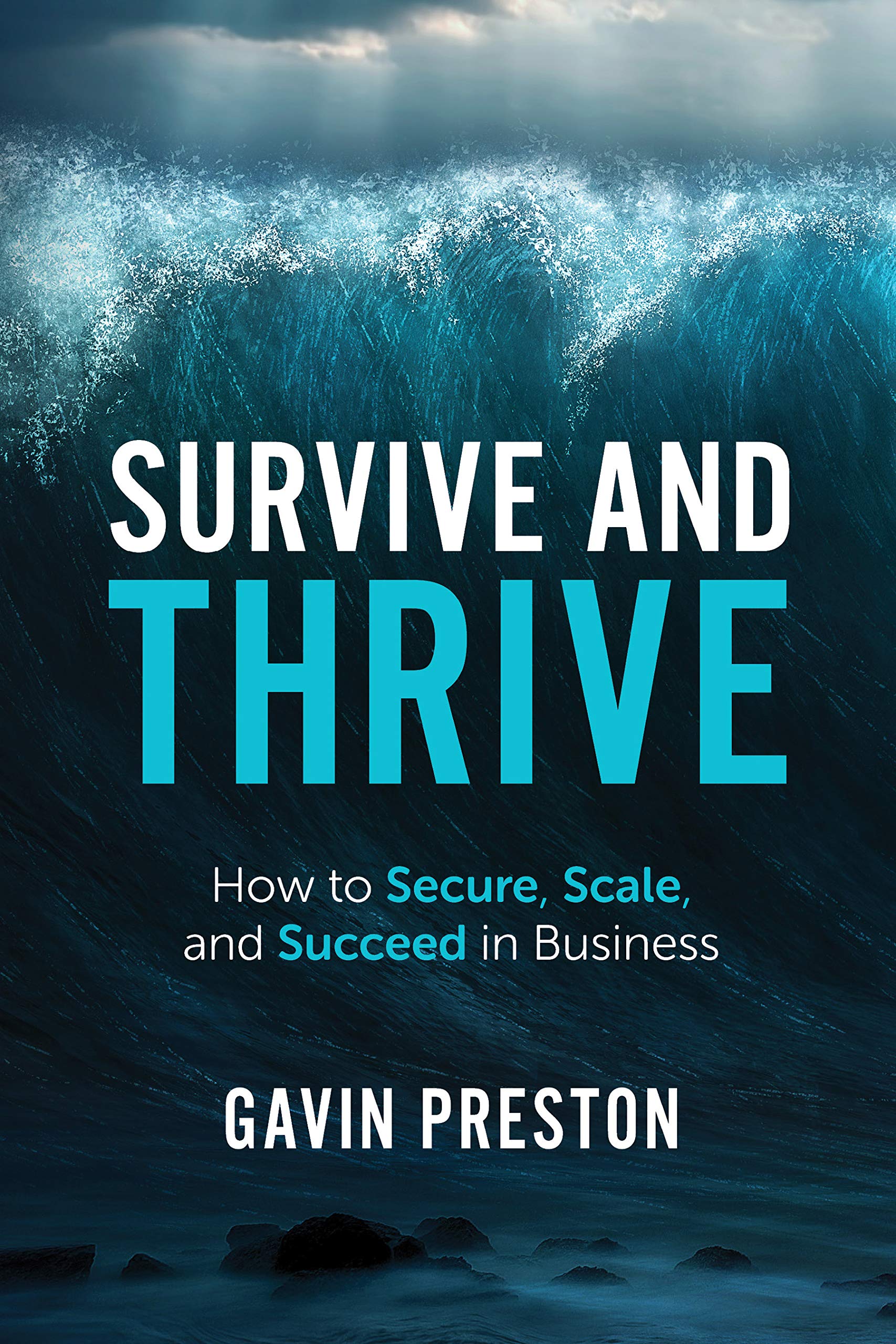 Survive and Thrive: How to Secure, Scale and Succeed in Business by ...