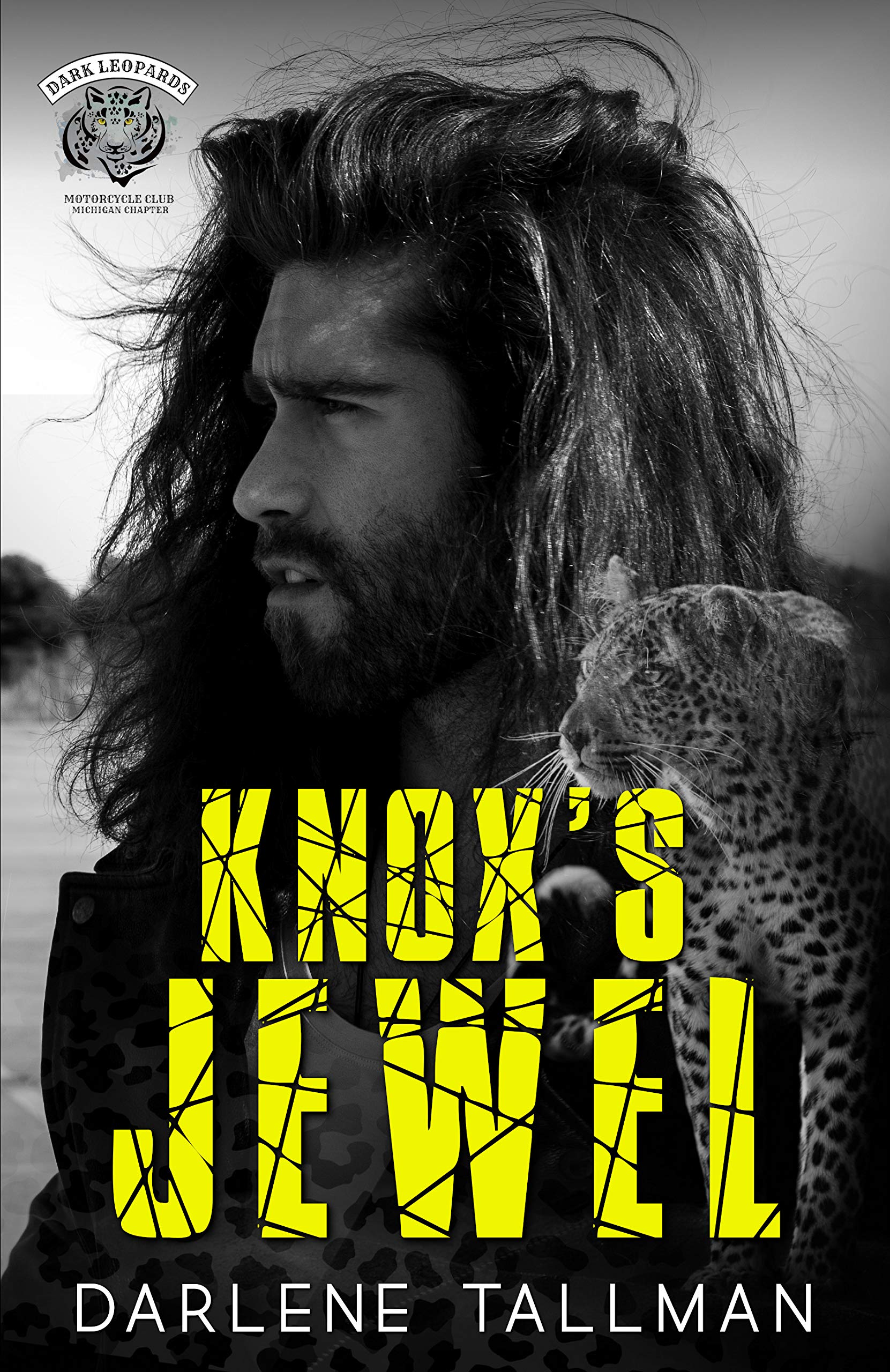 Knox's Jewel book cover