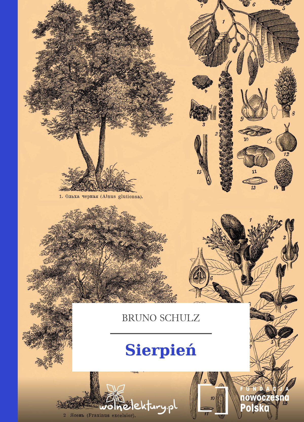 Sierpień book cover