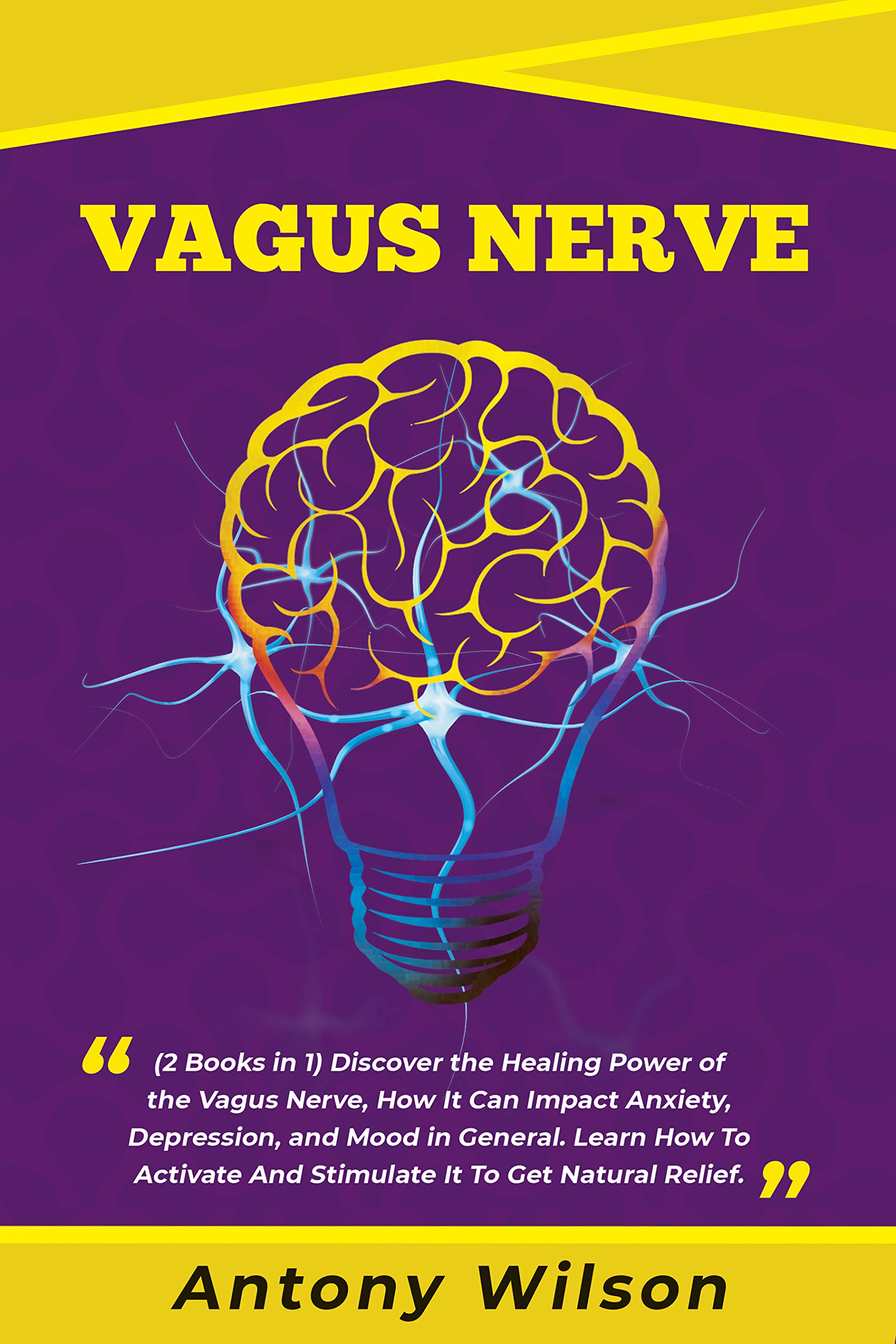 VAGUS NERVE Discover how the Vagus Nerve can influence Anxiety