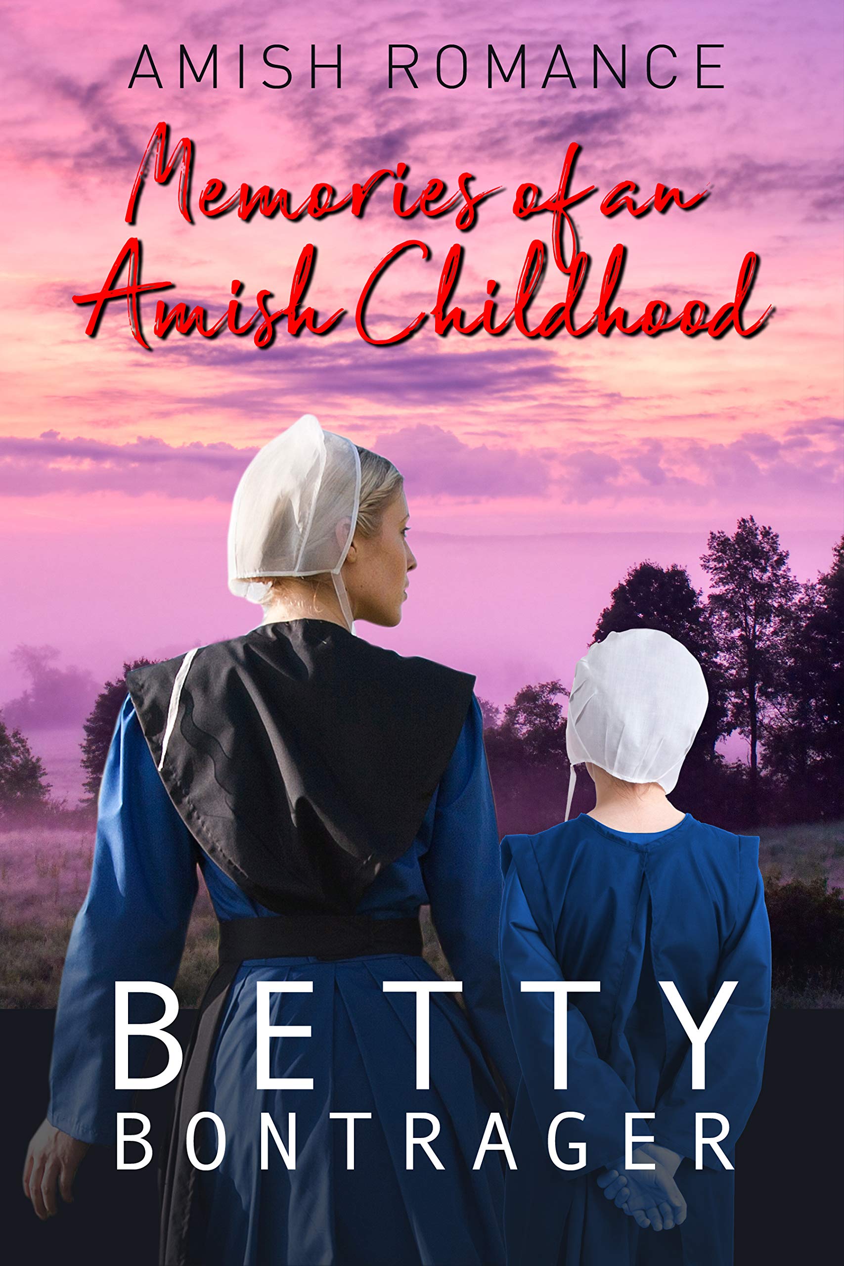 Memories of an Amish Childhood book cover