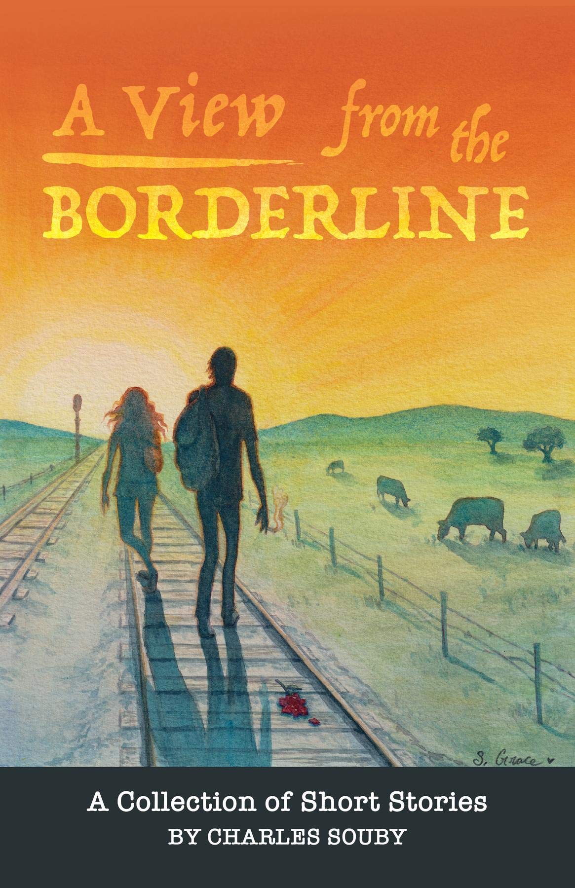A View from the Borderline: A Collection of Short Stories By Charles ...