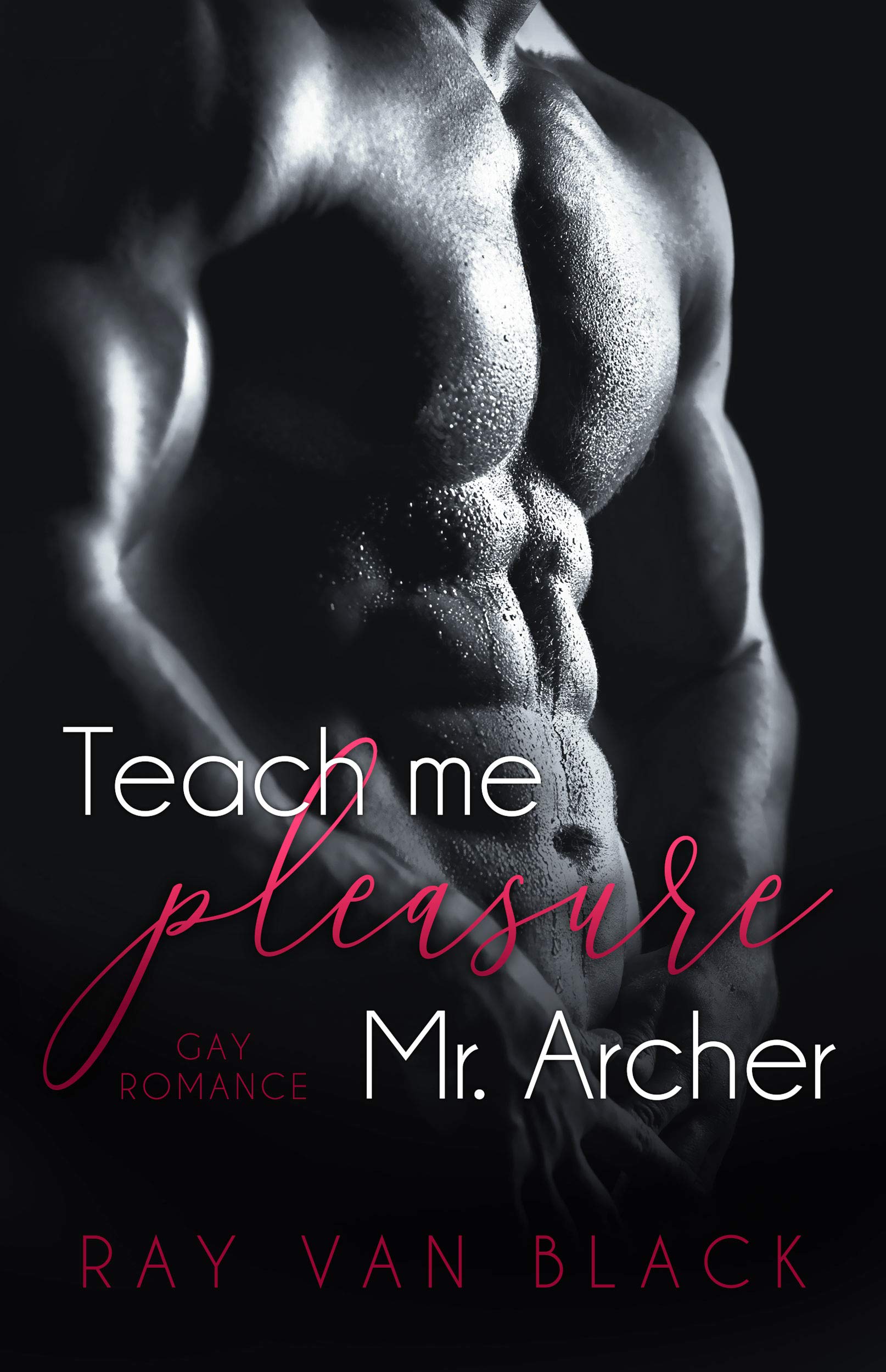 Teach me pleasure, Mr. Archer: Gay Romance