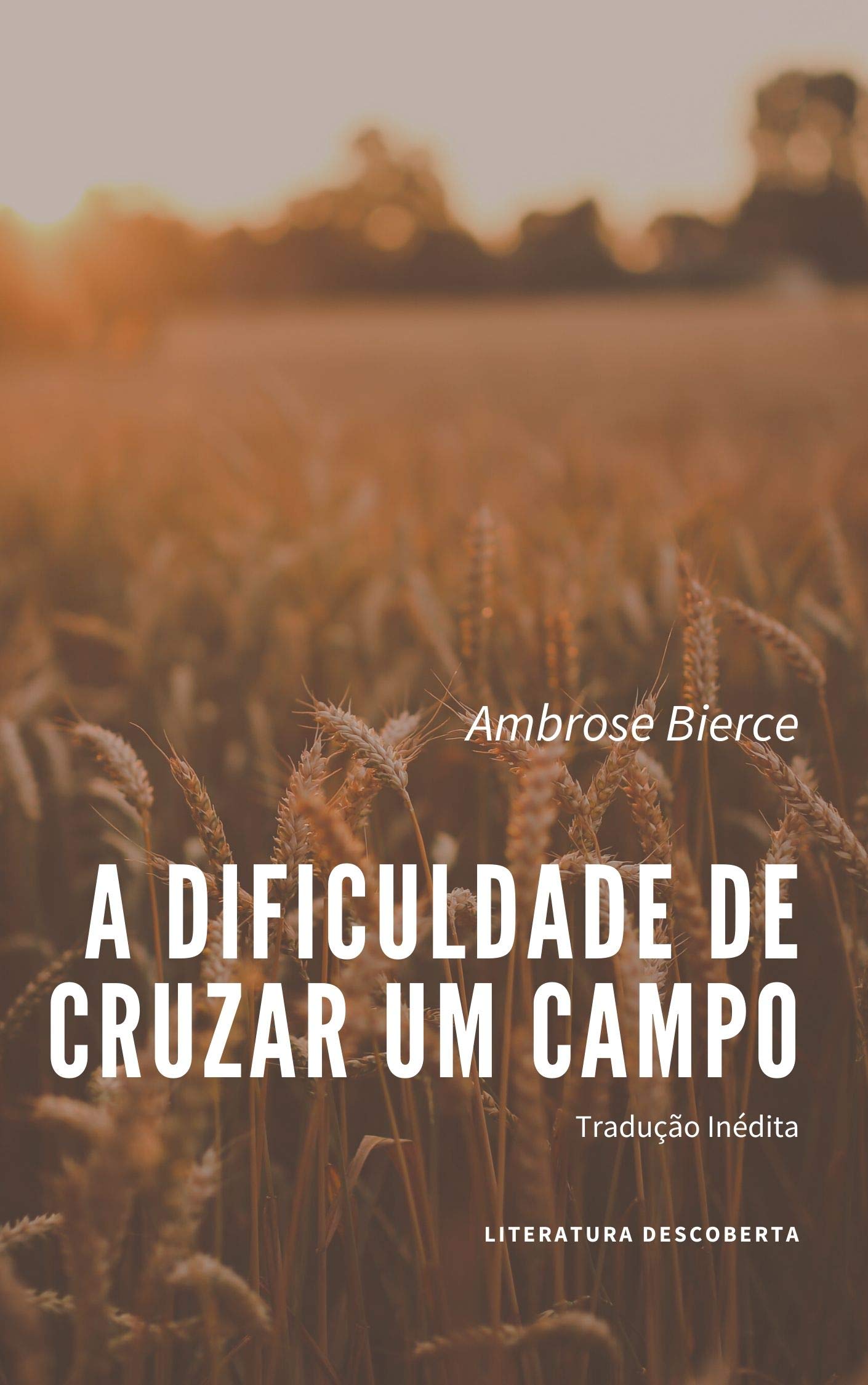 The Difficulty of Crossing a Field book cover