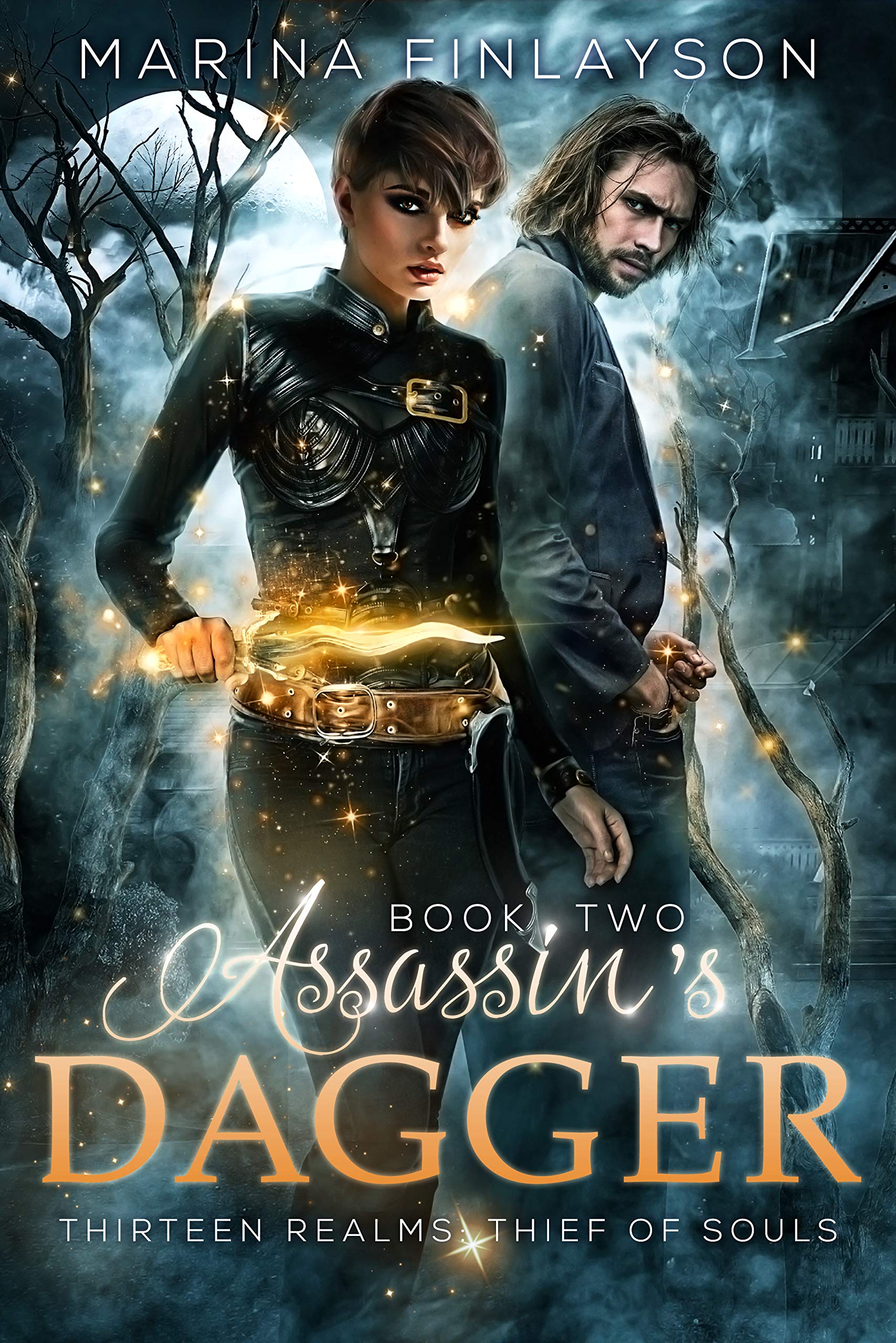 Assassin's Dagger book cover