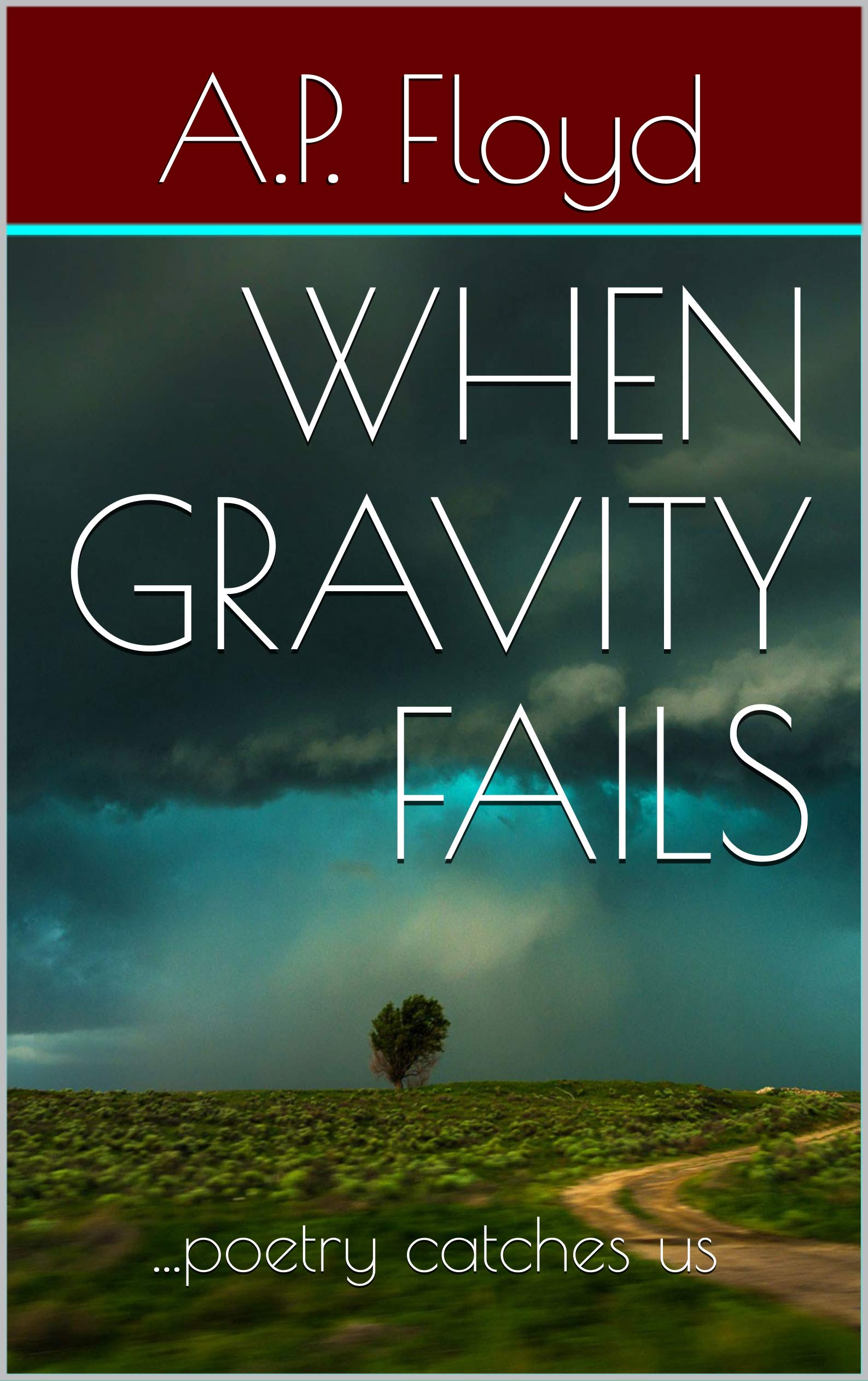 When Gravity Failspoetry catches us by A.P. Floyd Goodreads
