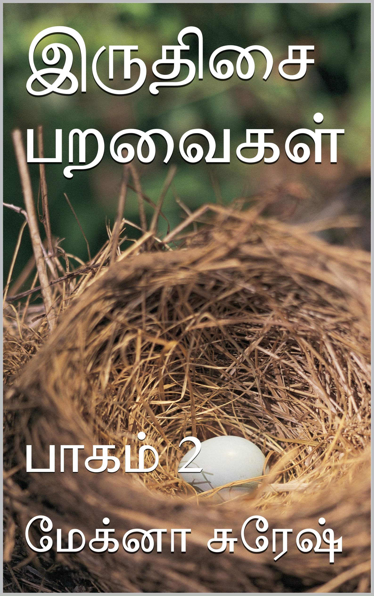 இருதிசை பறவைகள்: பாகம் 2