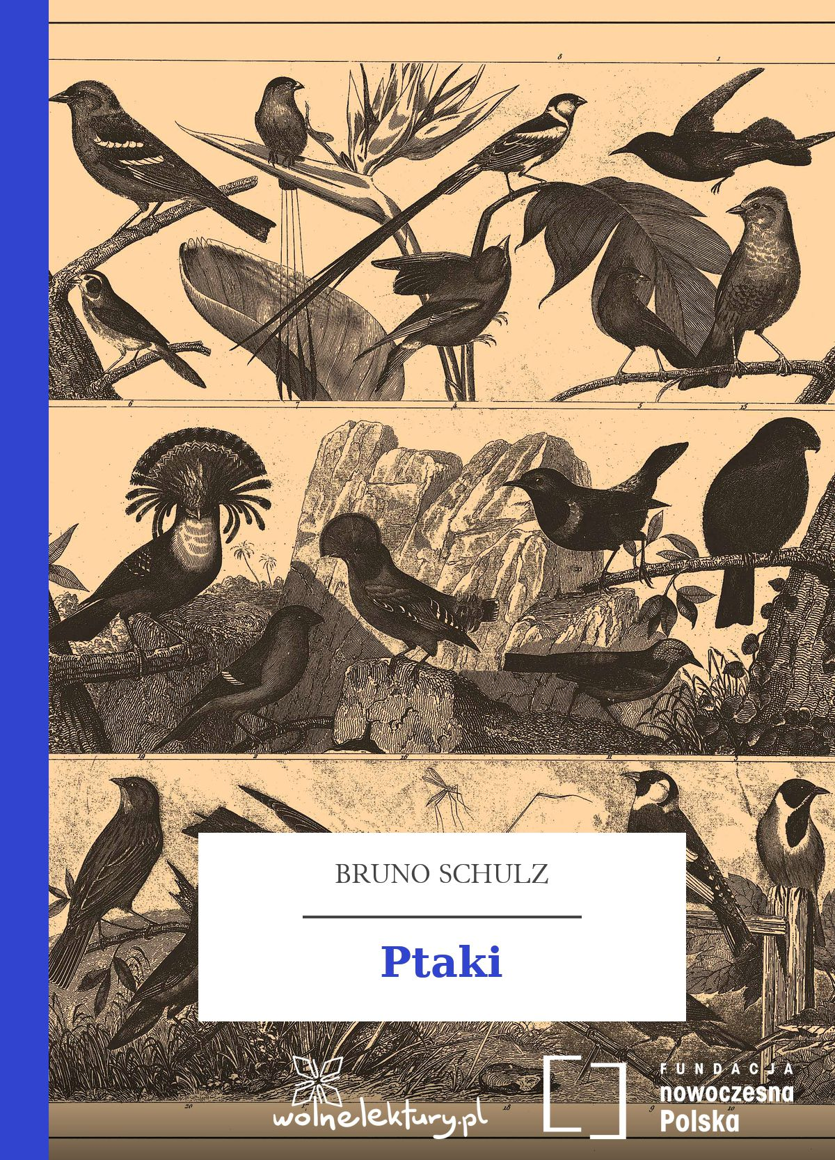 Ptaki book cover