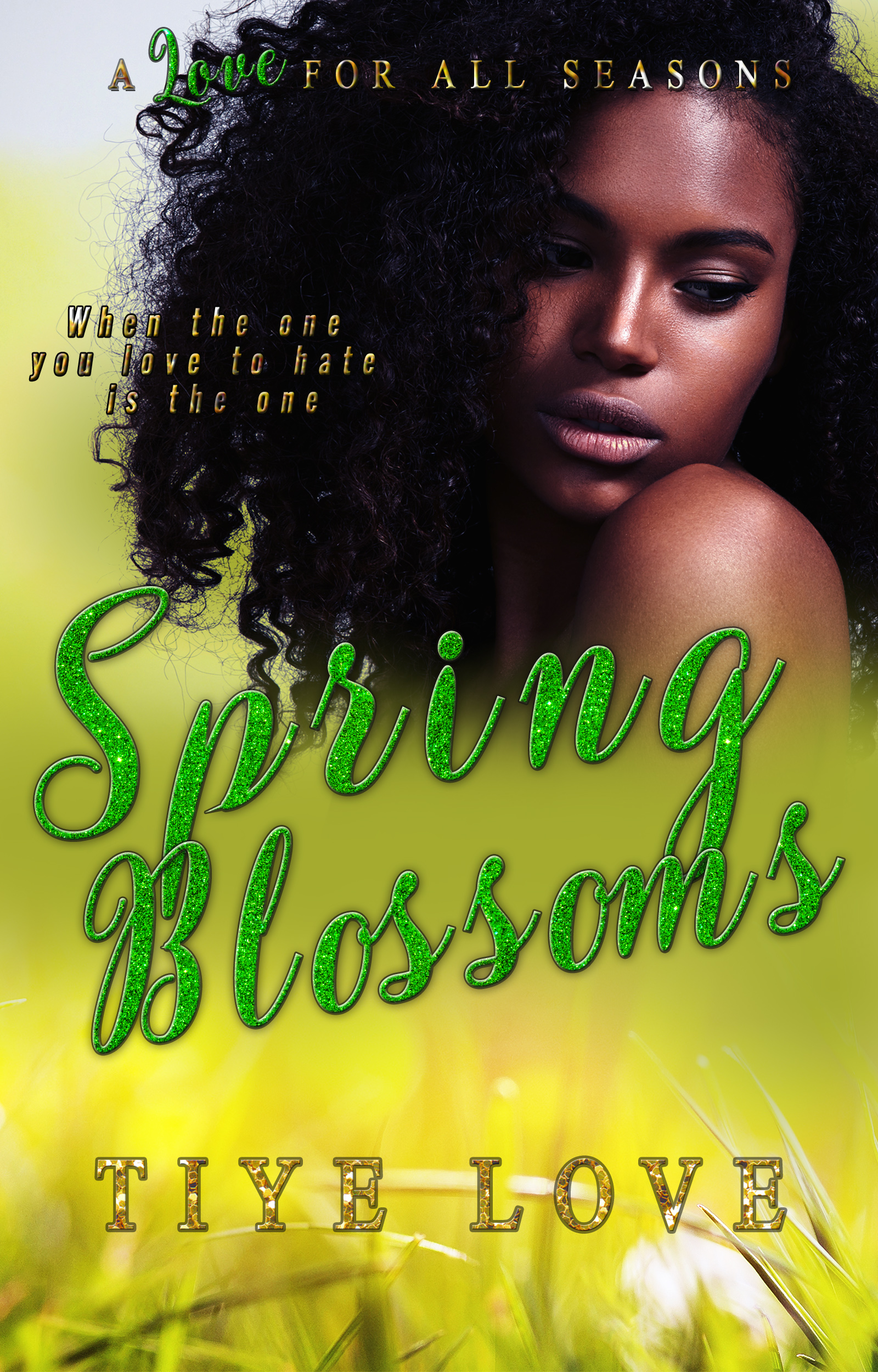 A Love for all Seasons book cover 3