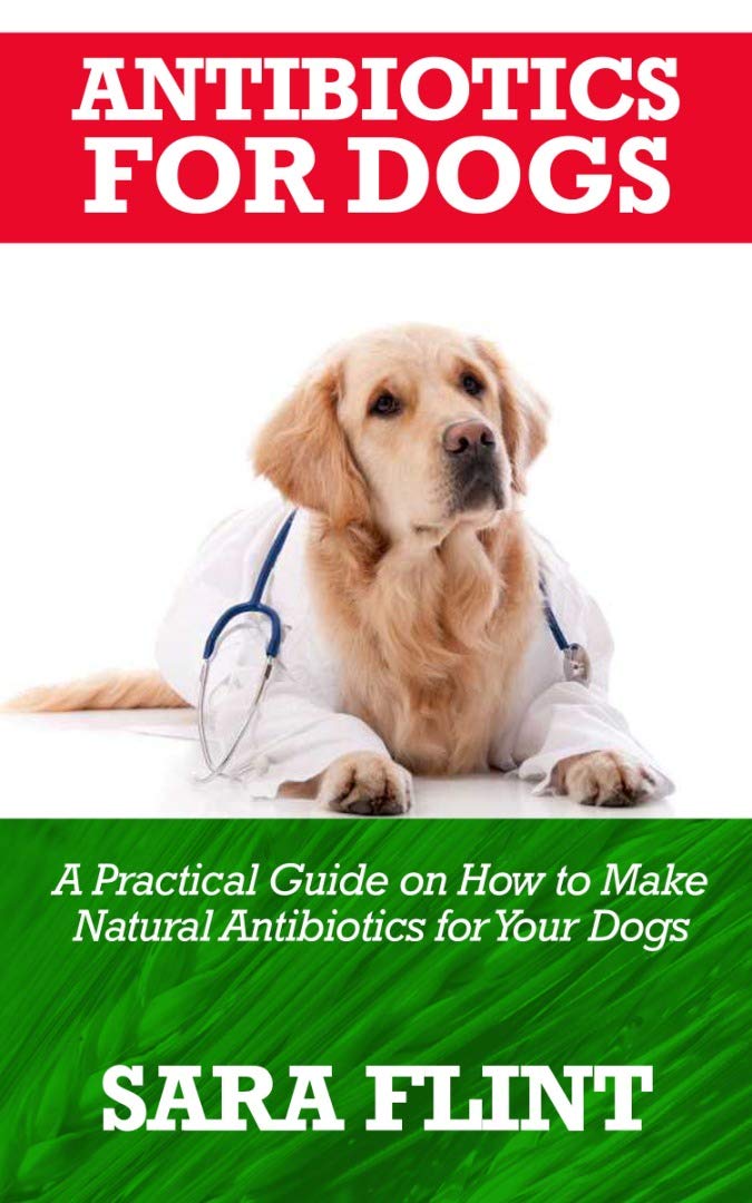 ANTIBIOTICS FOR DOGS A practical guide on how to make natural