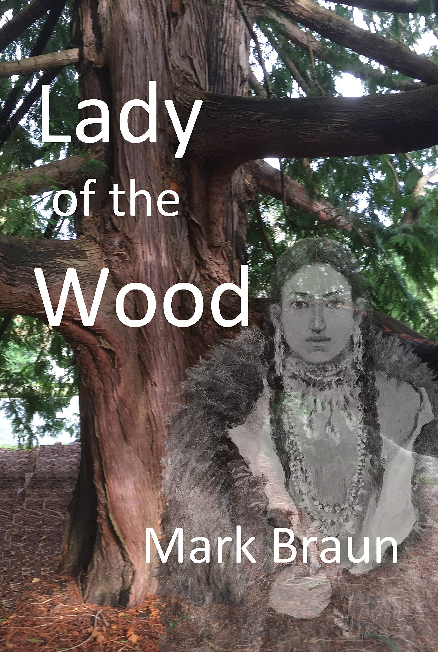 Lady of the Wood by Mark Braun Goodreads