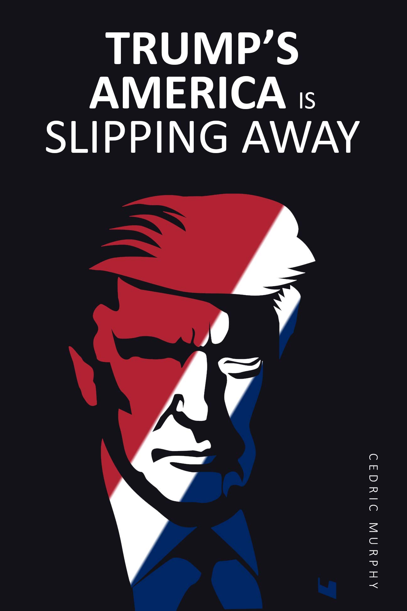 Trump’s America is Slipping Away Will Donald Trump be Elected 2020? by