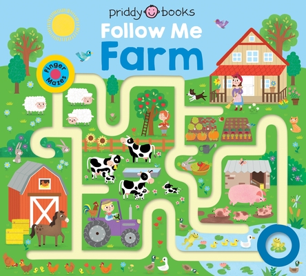 Maze Book book cover