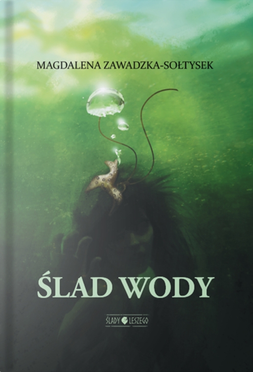 Ślad wody