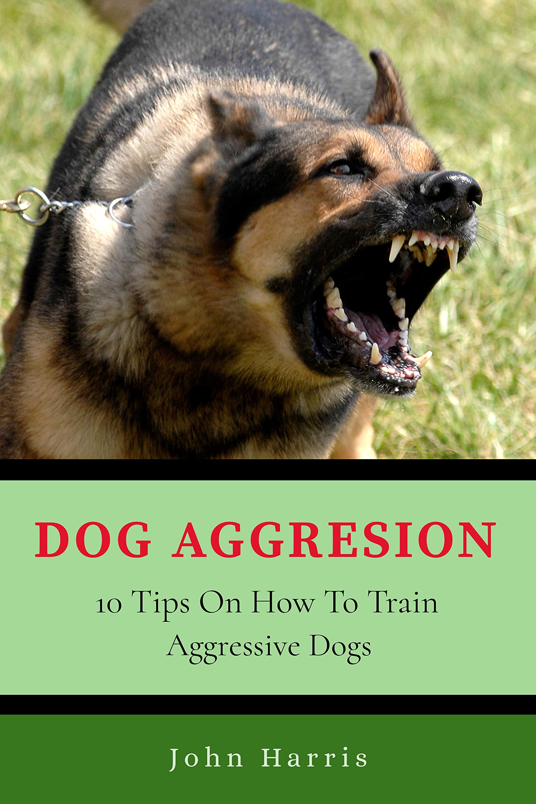 Dog Aggression 10 Tips On How To Train Aggressive Dogs by John Harris
