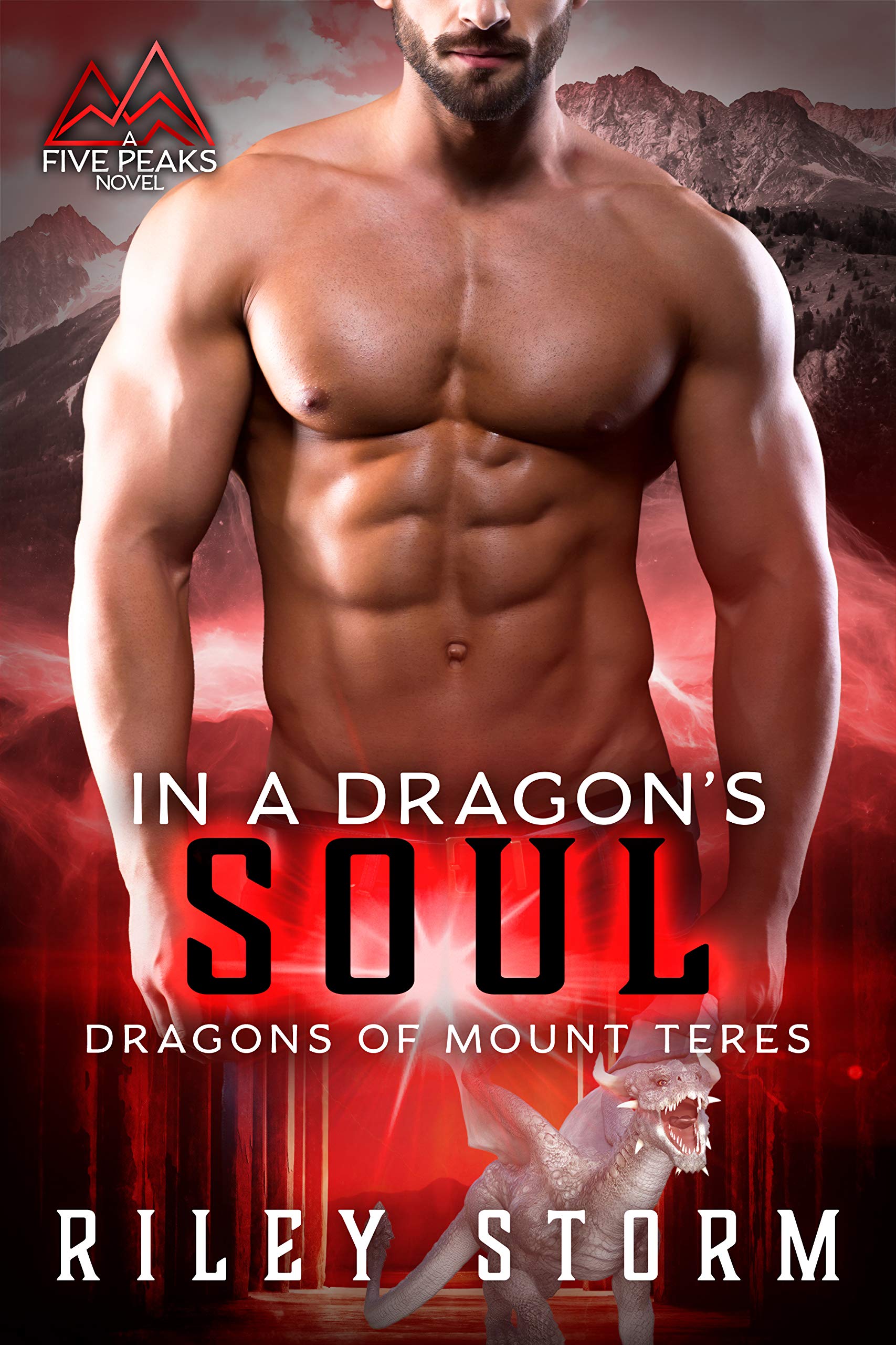 In a Dragon's Soul book cover