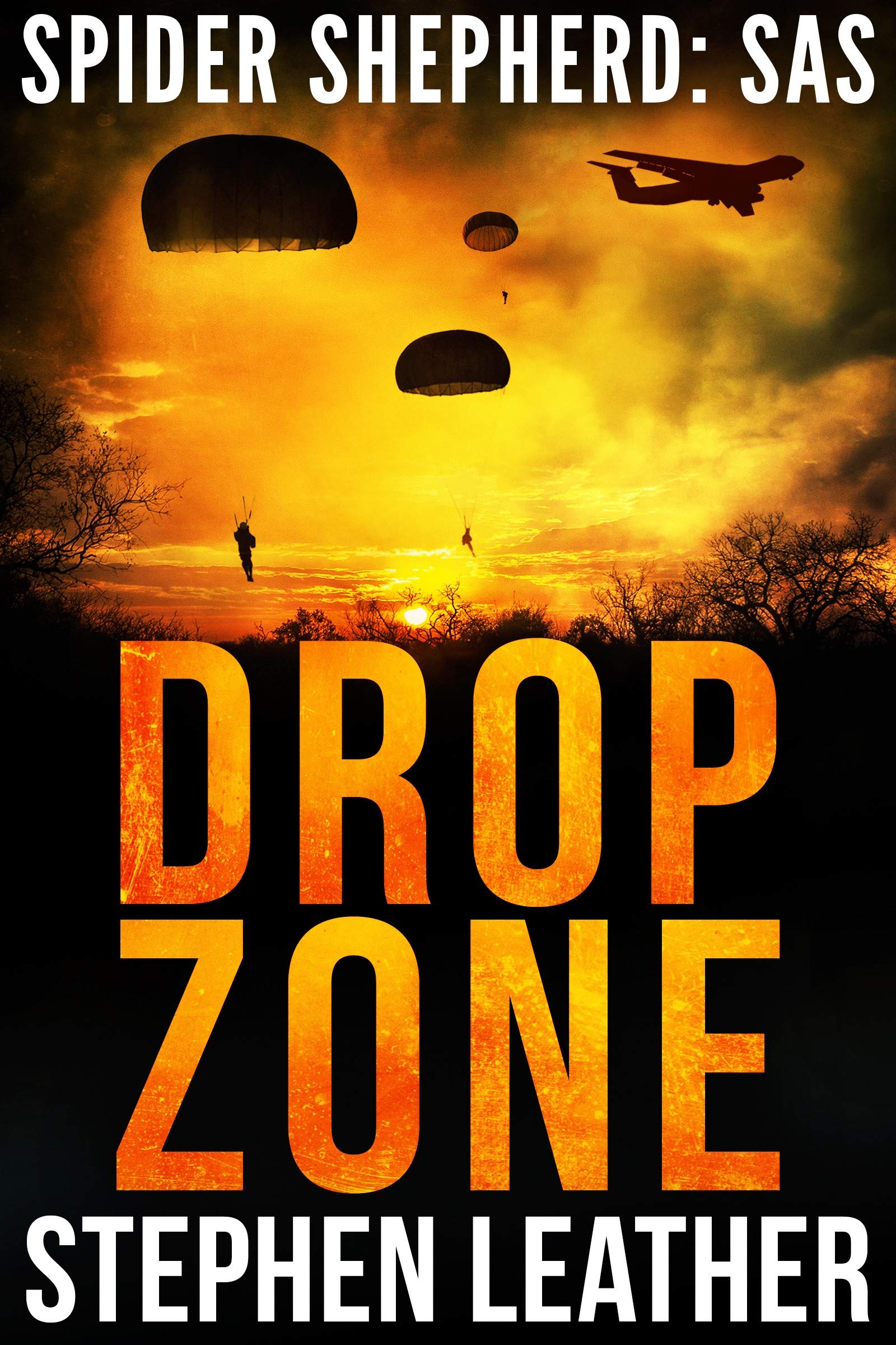 Drop Zone book cover