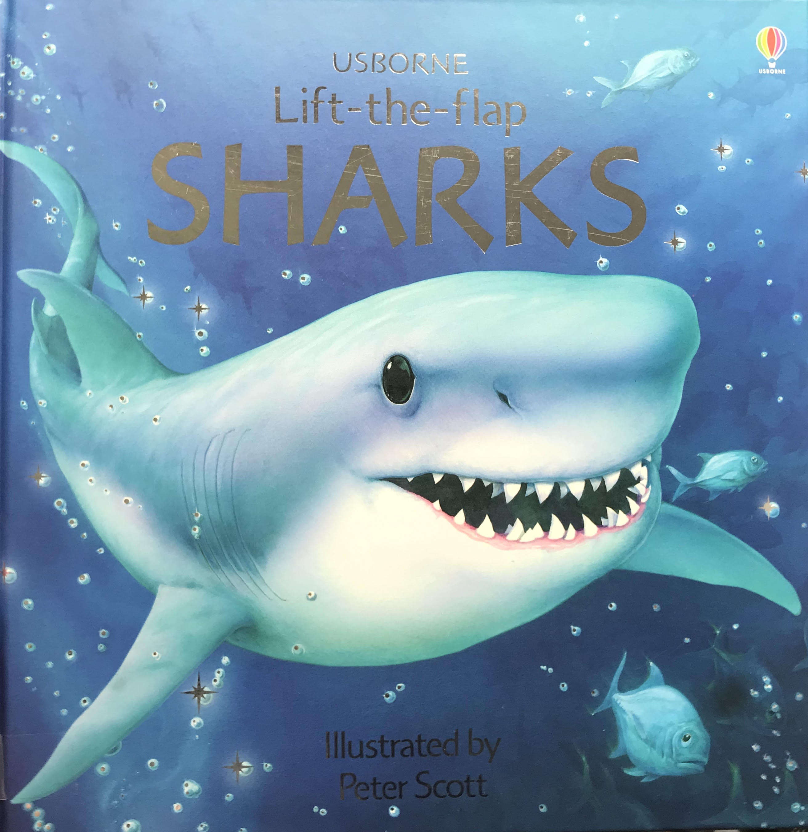 Sharks book cover