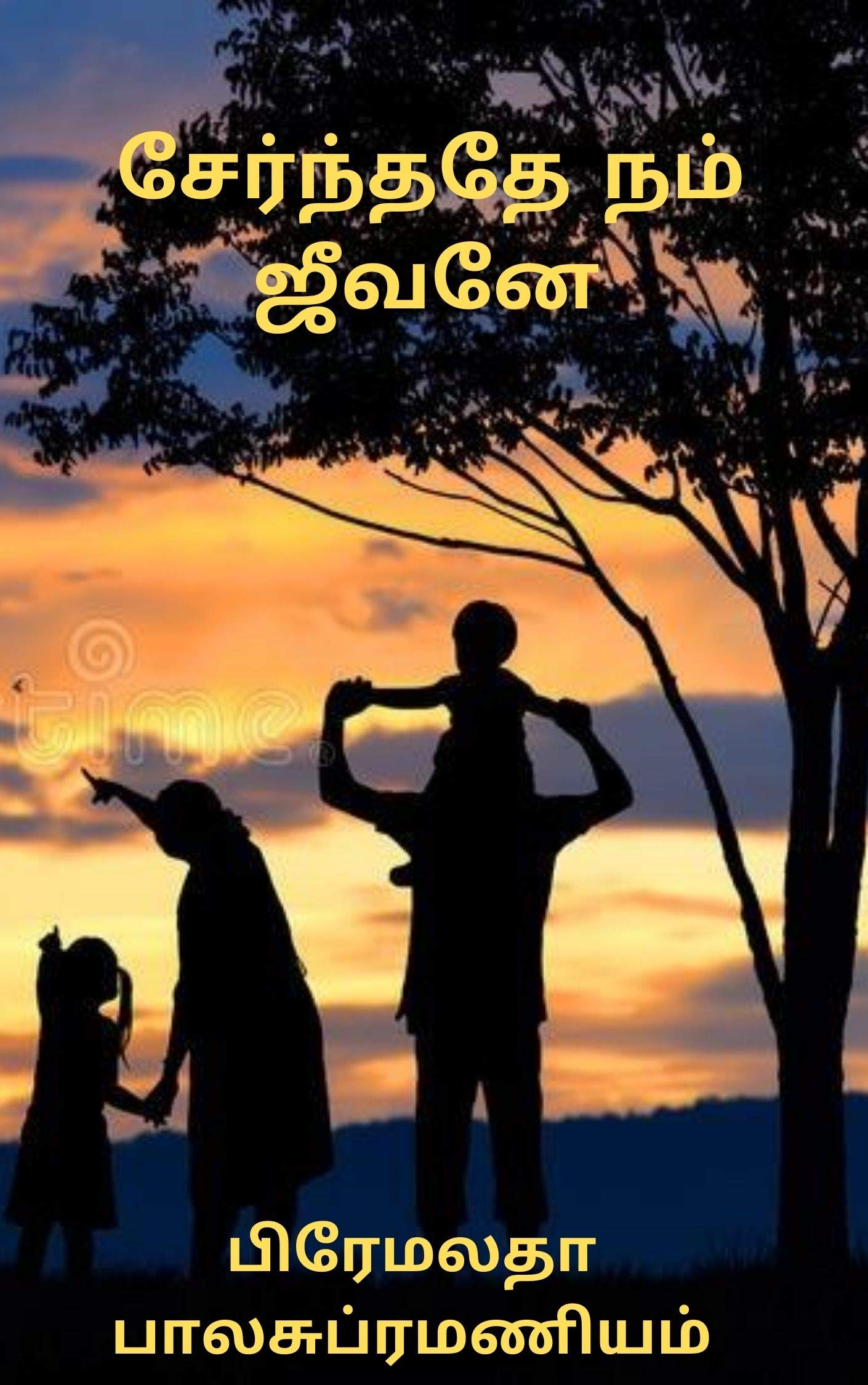 சேர்ந்ததே நம் ஜீவனே - Serndhadhe Nam Jeevane