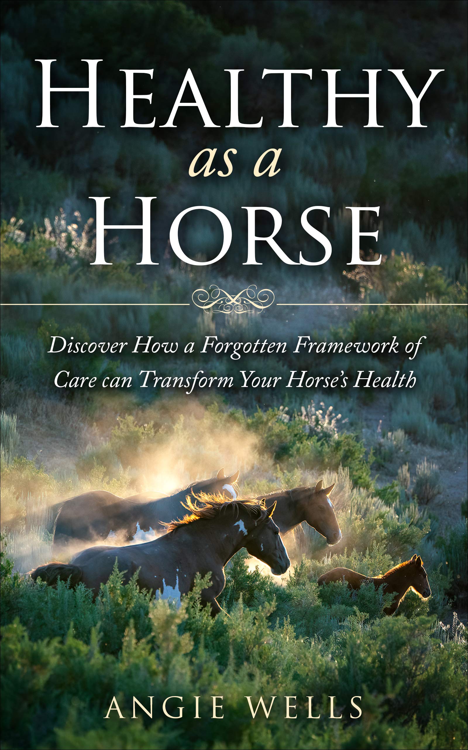 Healthy as a Horse Discover How a Framework of Care can