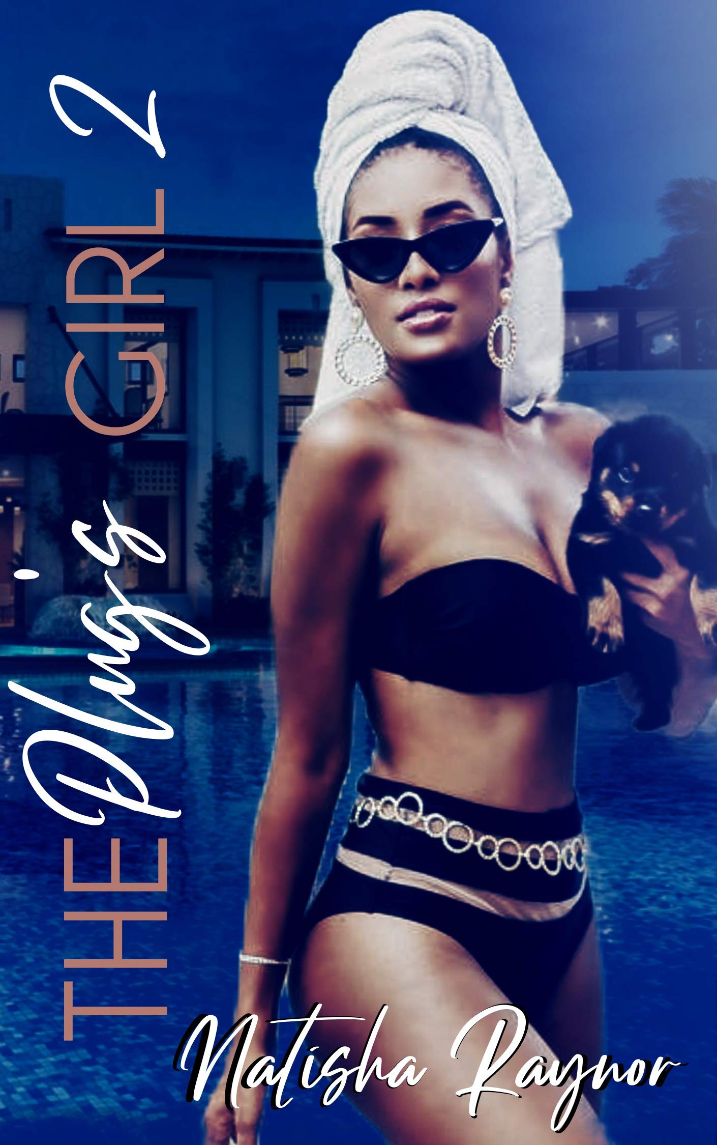 The Plug's Girl II book cover