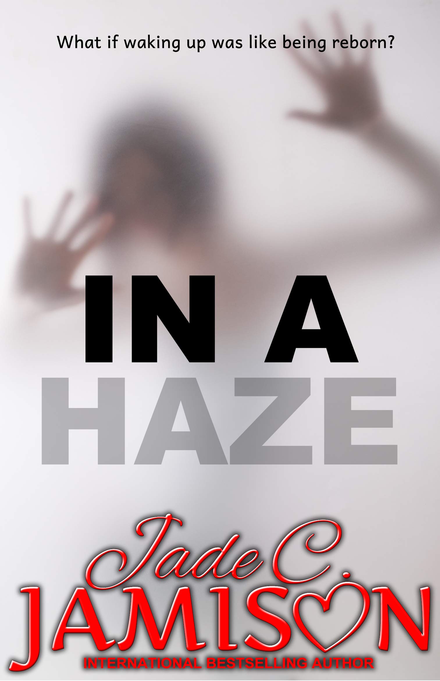 In a Haze book cover