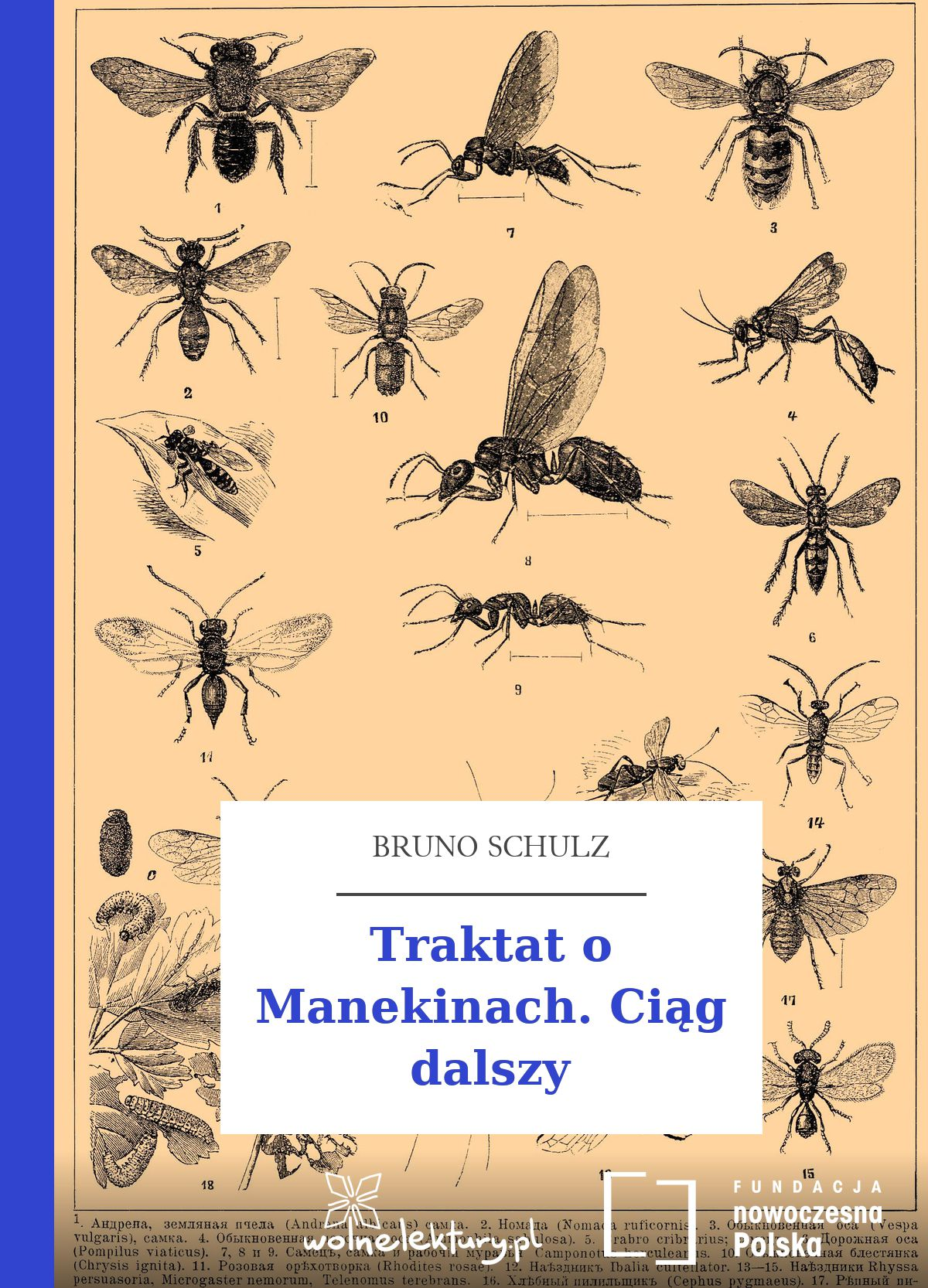 Traktat o Manekinach. Ciąg dalszy book cover