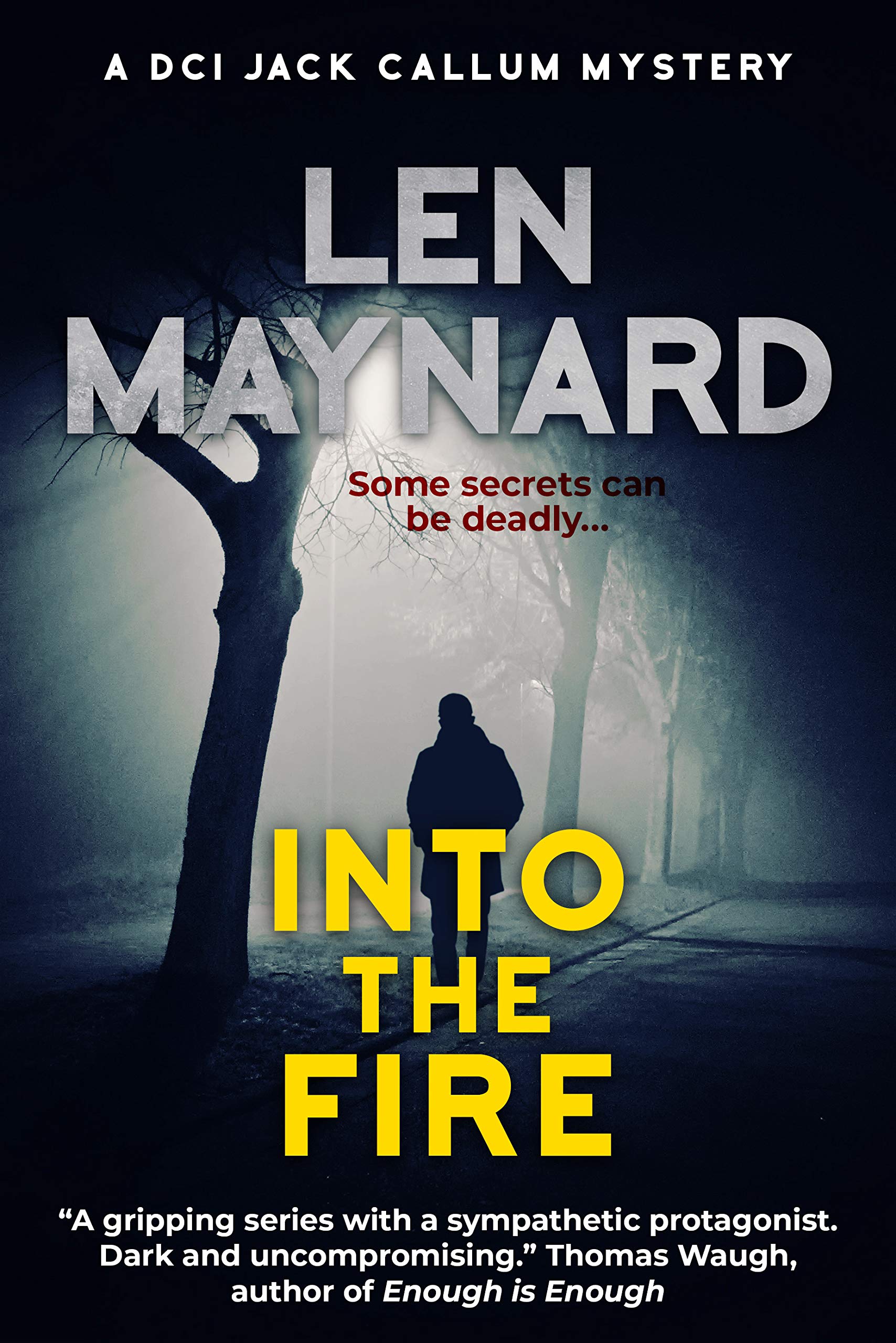 Into the Fire book cover