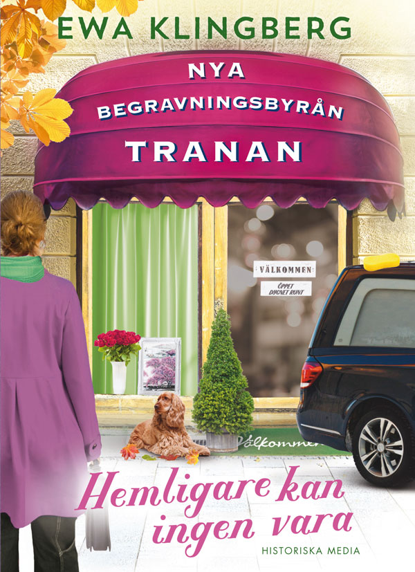 Hemligare kan ingen vara book cover