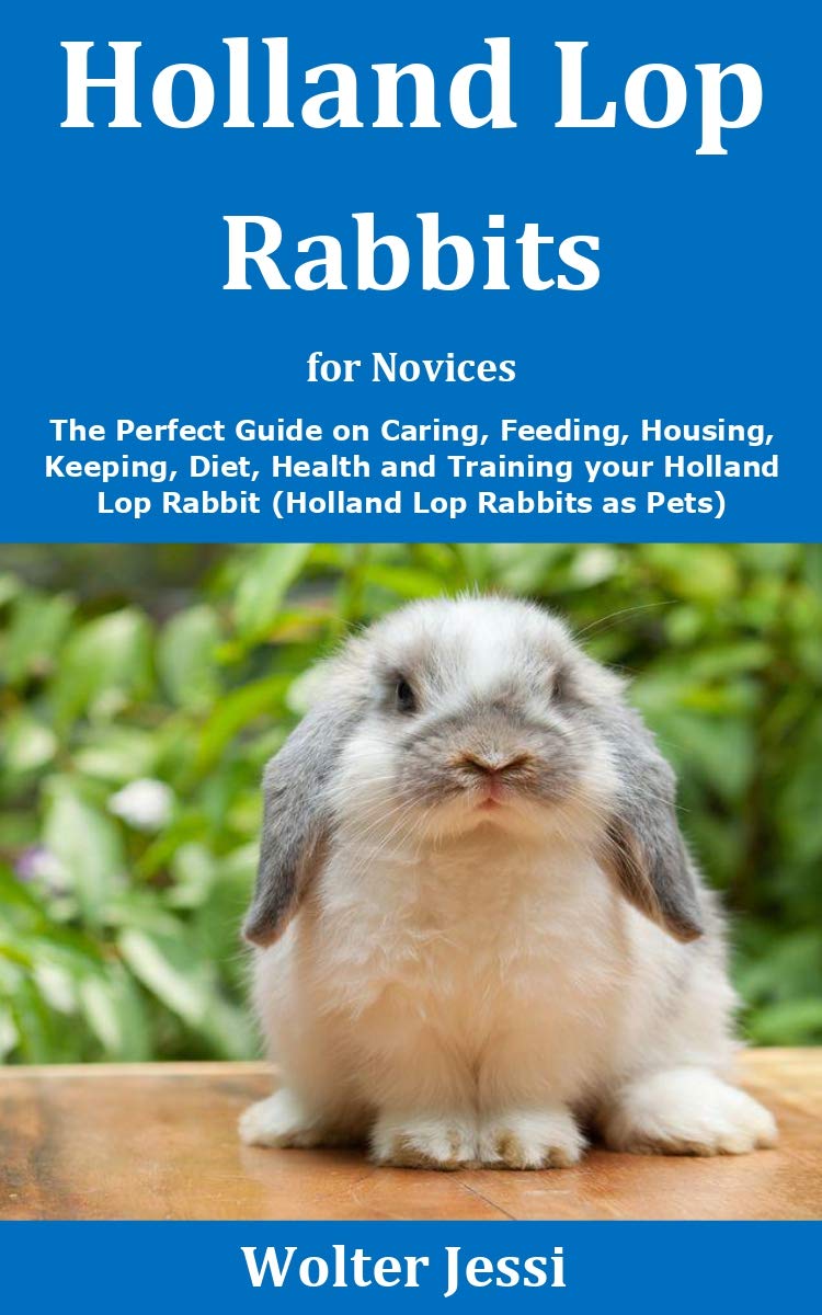 Holland Lop Rabbits for Novices The Perfect Guide on Caring, Feeding, Housing, Keeping, Diet
