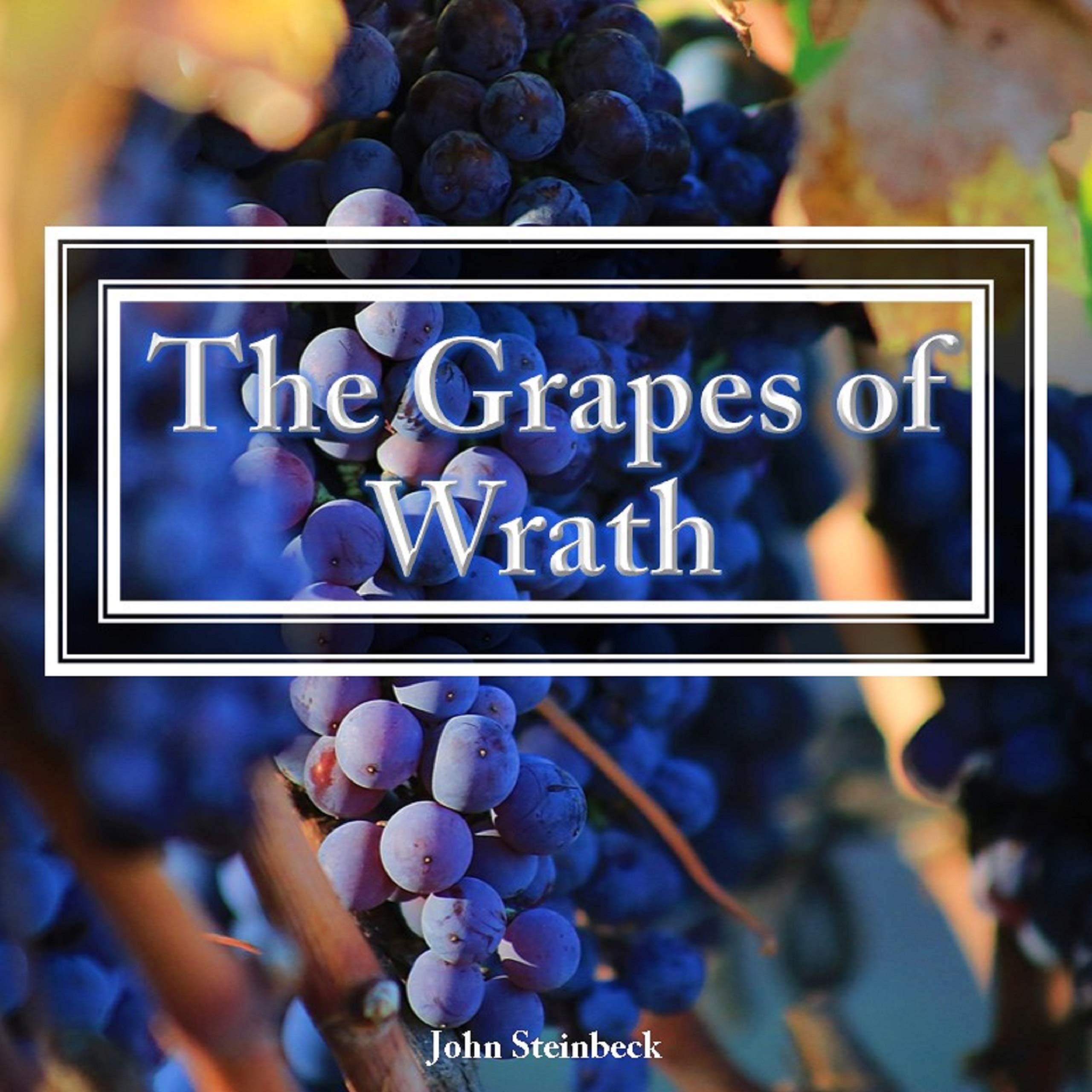 The Grapes of Wrath (Jumbled) by Patricia Custals Goodreads