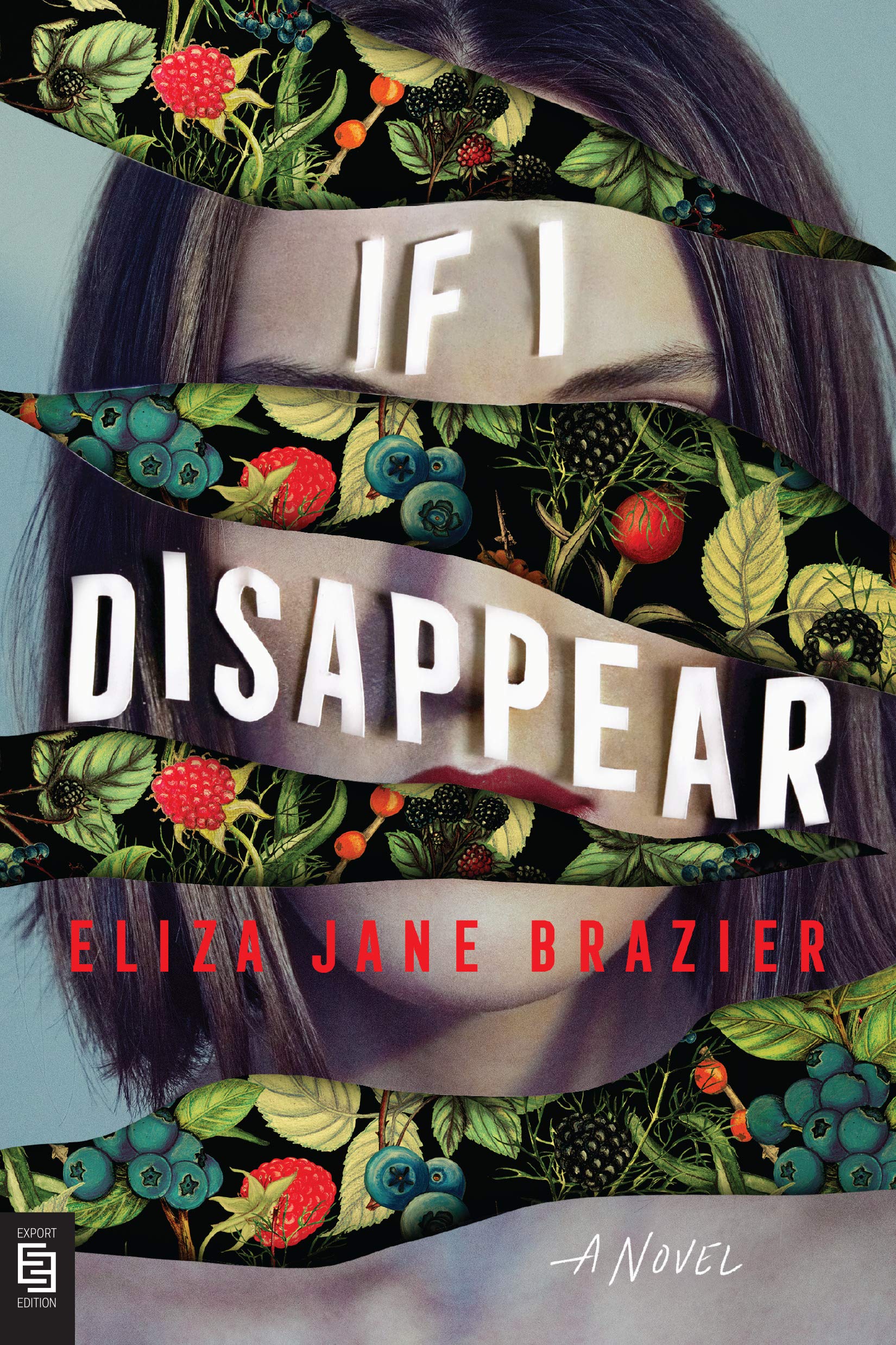 If I Disappear