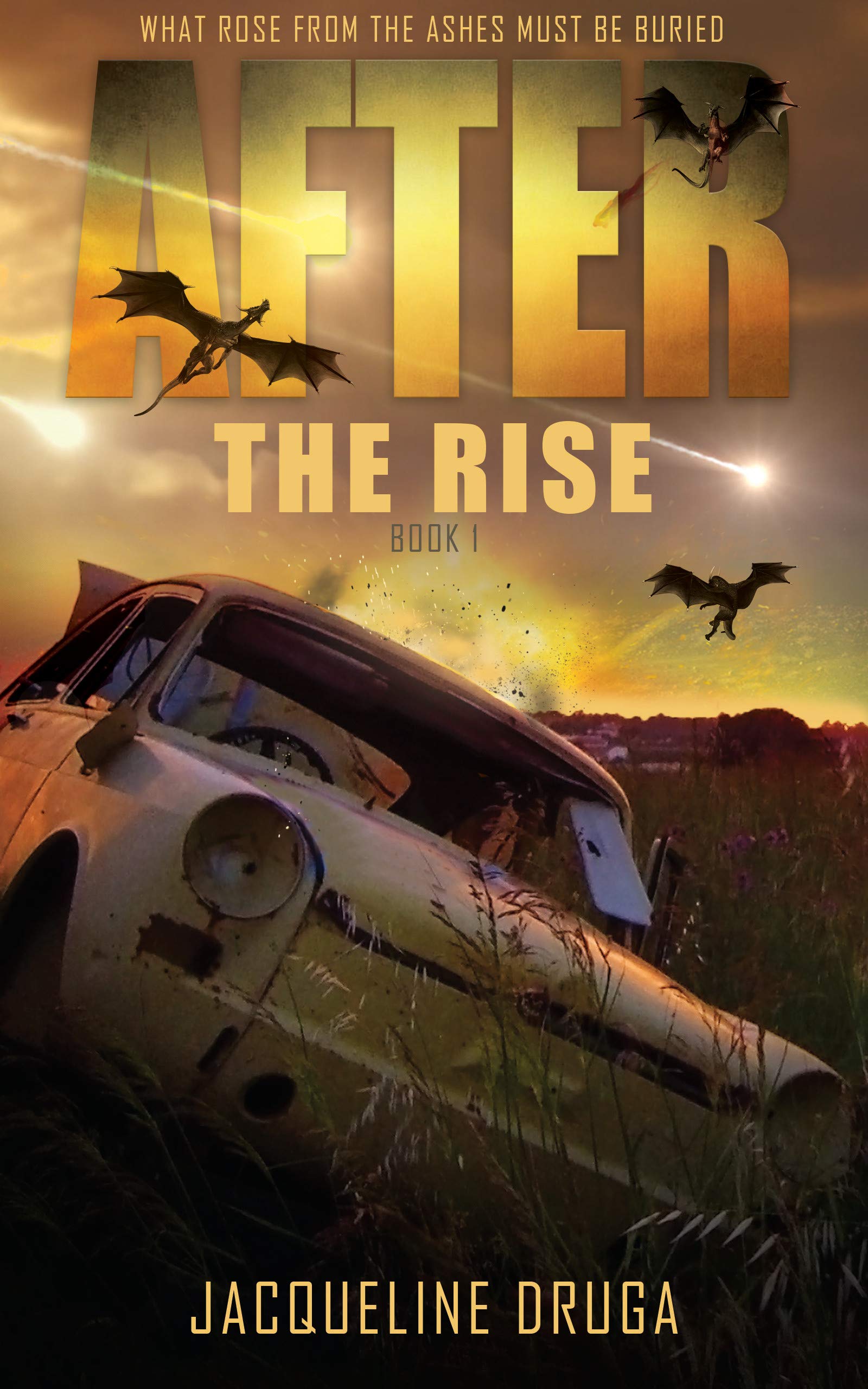 After The Rise book cover 1