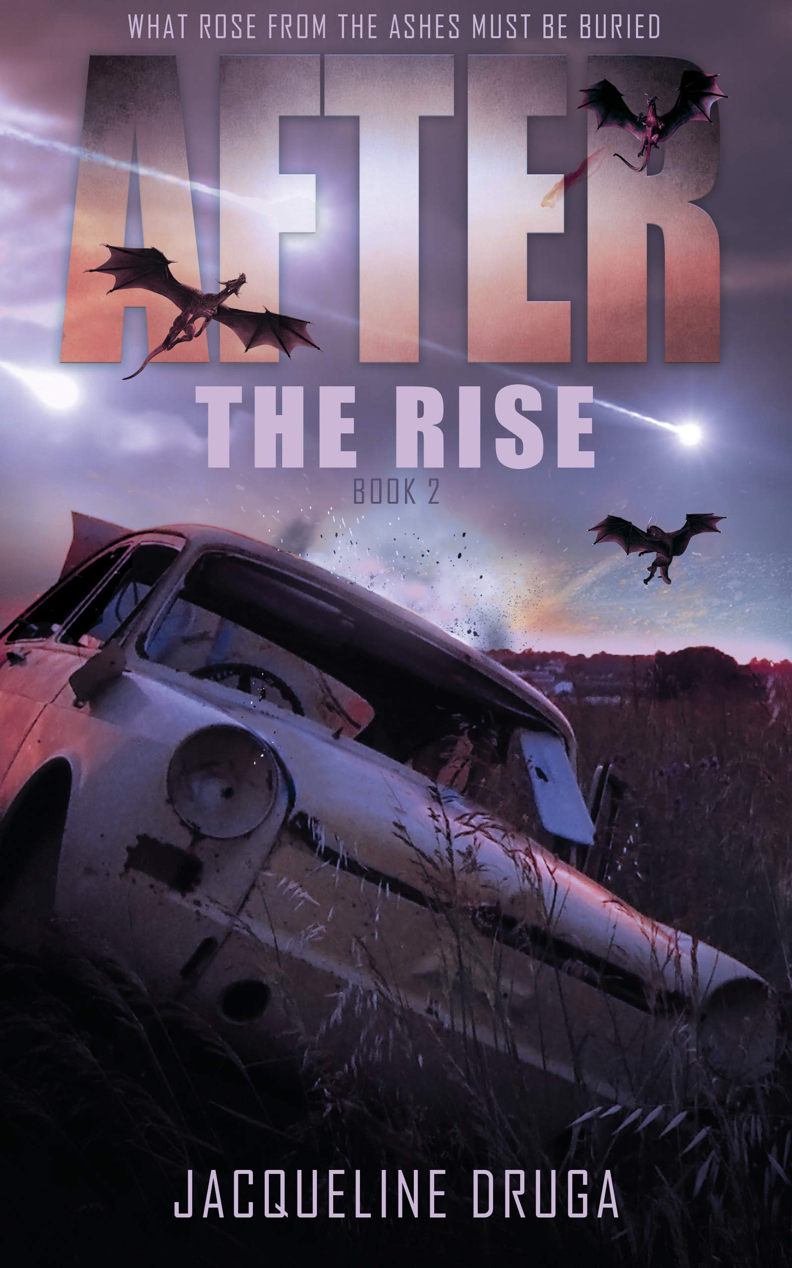After The Rise book cover 2