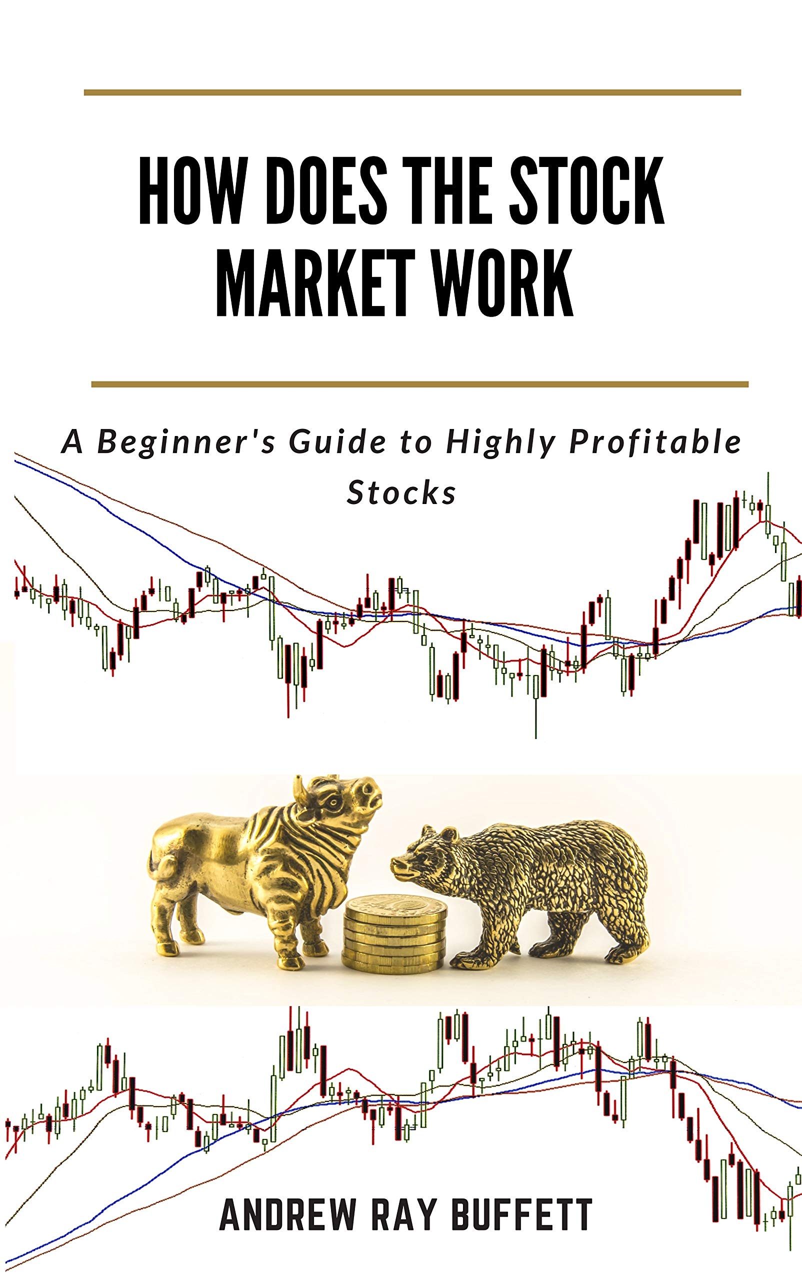 HOW DOES THE STOCK MARKET WORK A Beginner's Guide to Highly