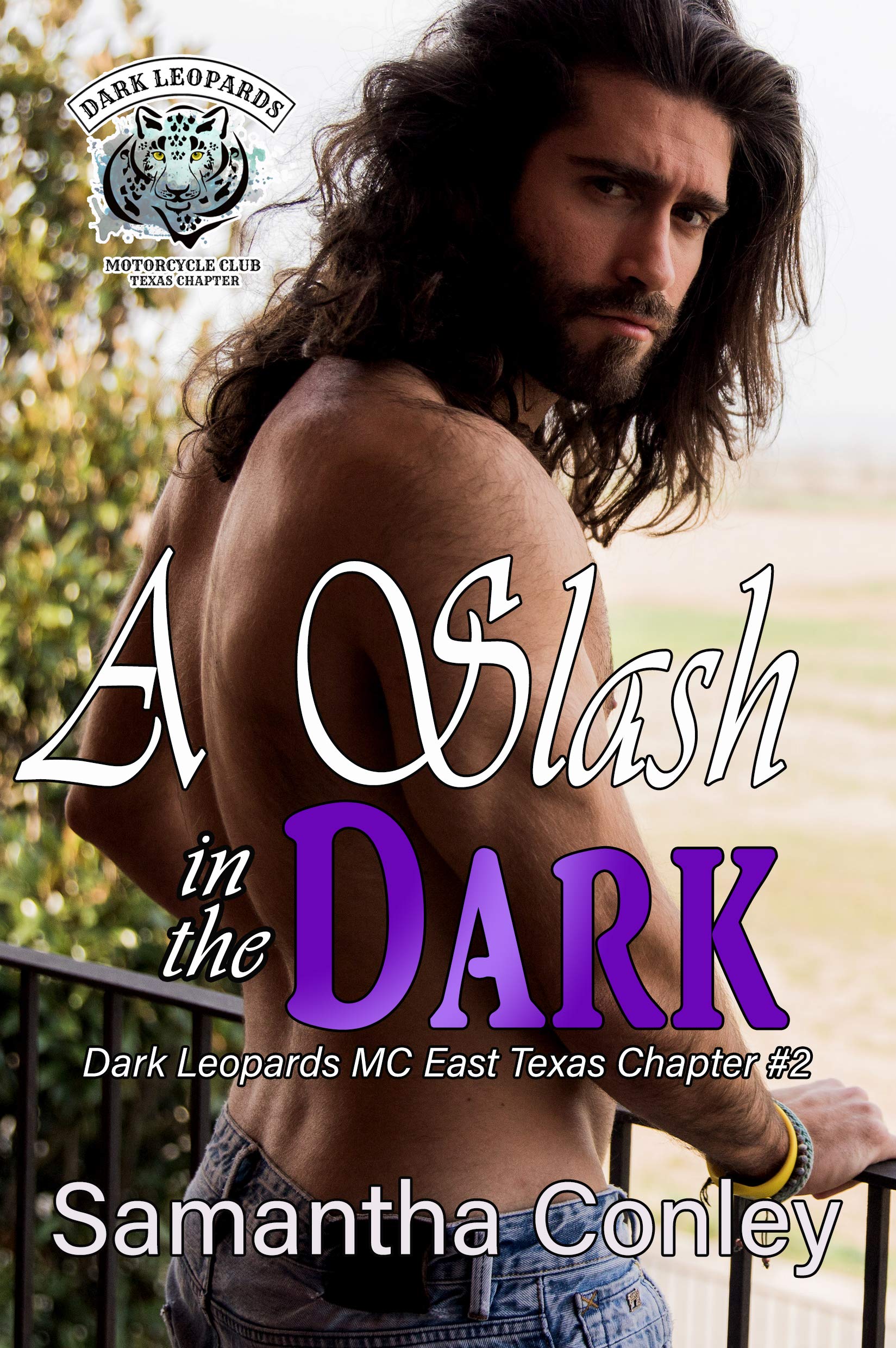 Dark Leopards MC East Texas Chapter book cover 2